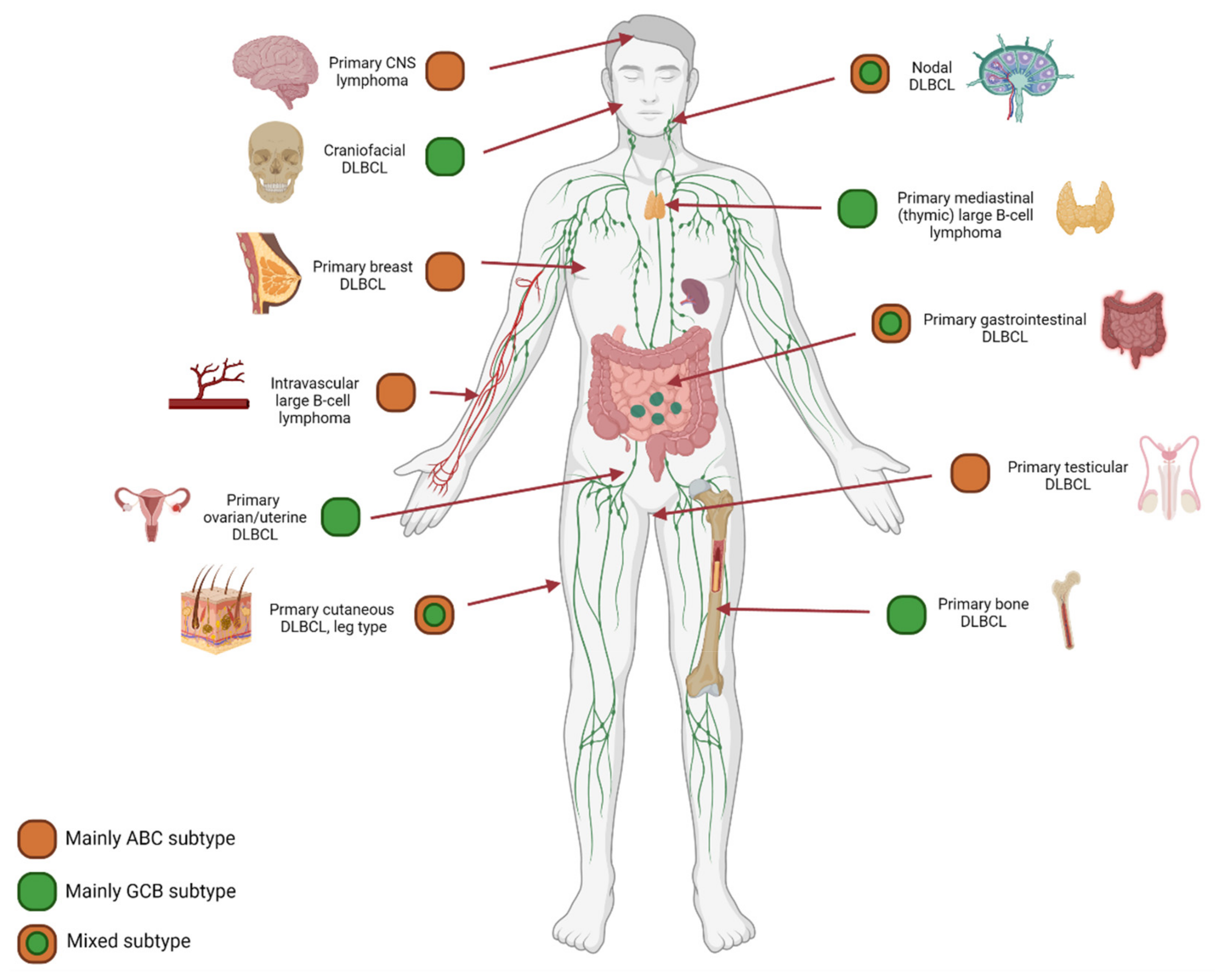 Cancers 14 01857 g005