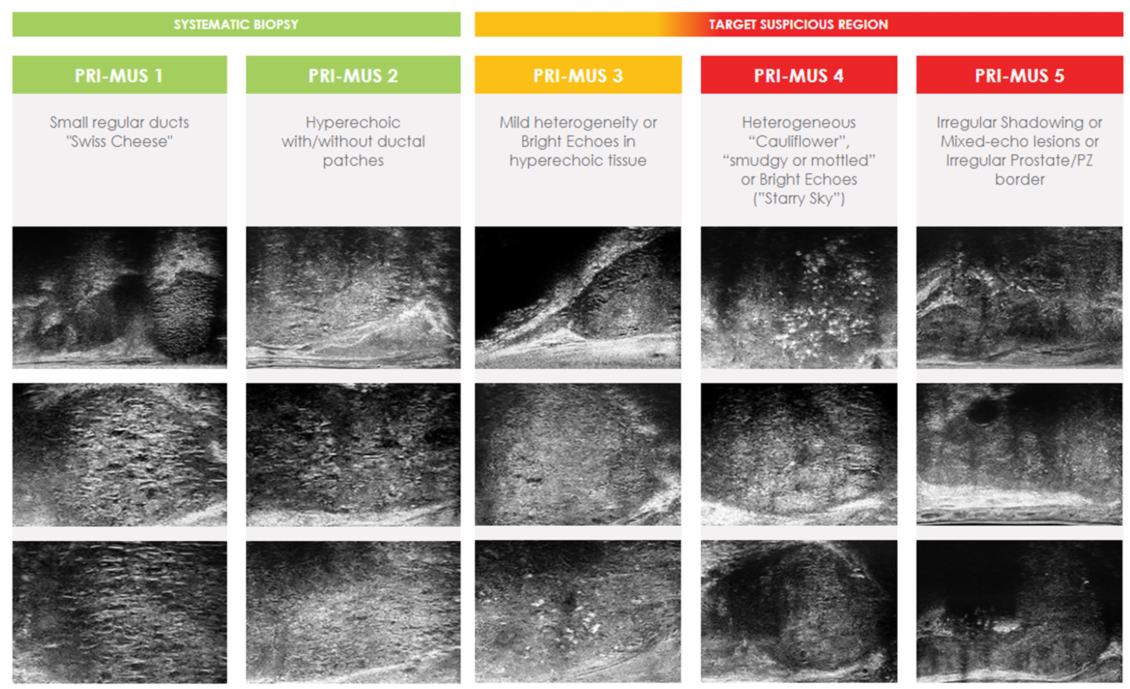 Cancers 14 01859 g002