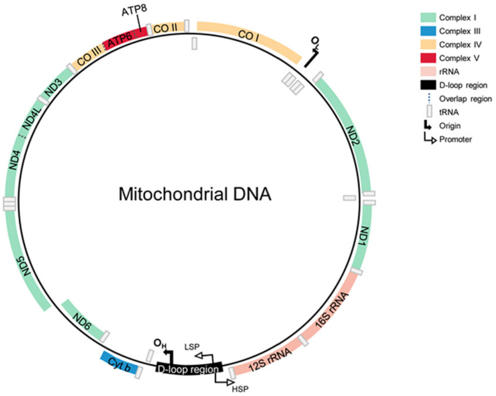 Cancers 14 01862 g001
