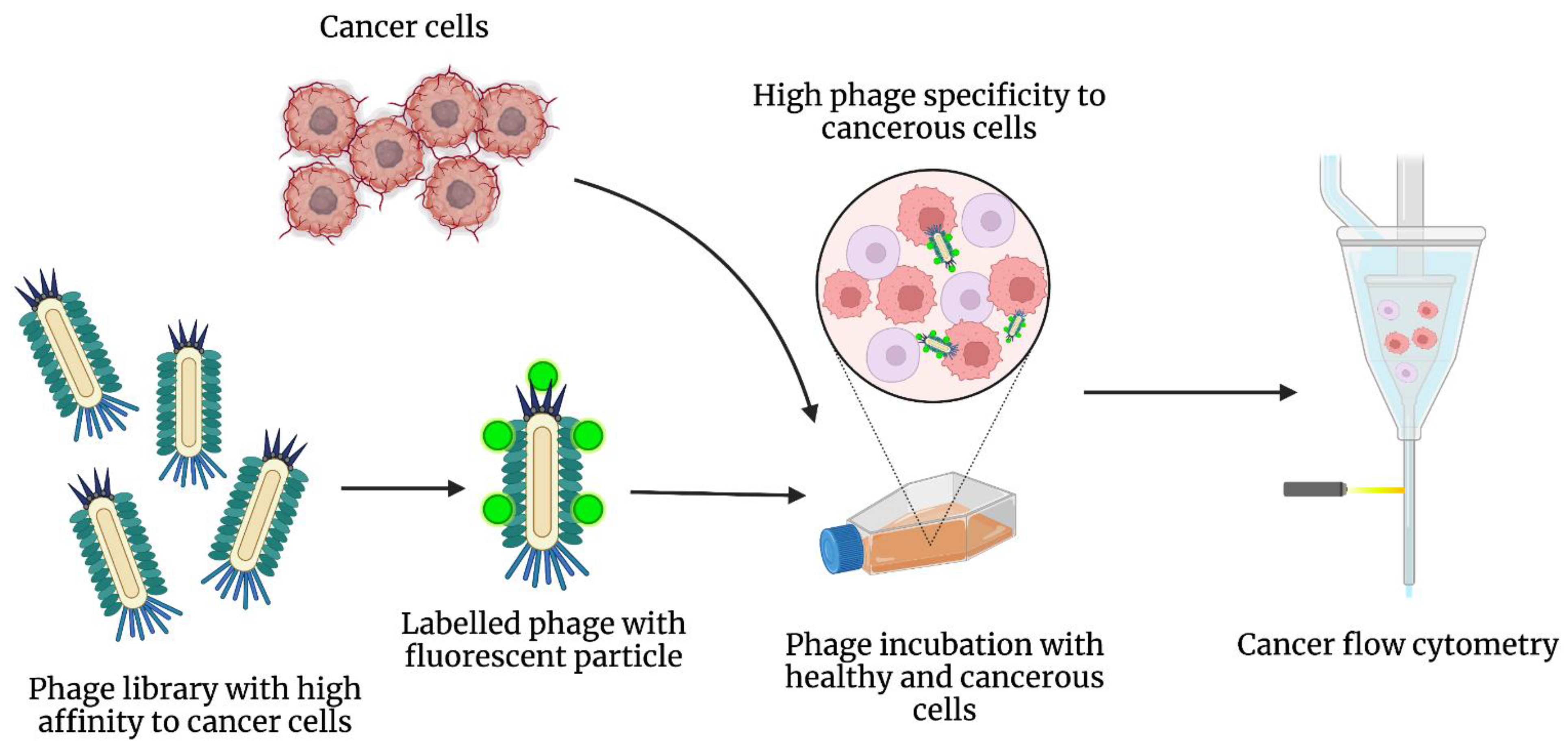 Cancers 14 01867 g005