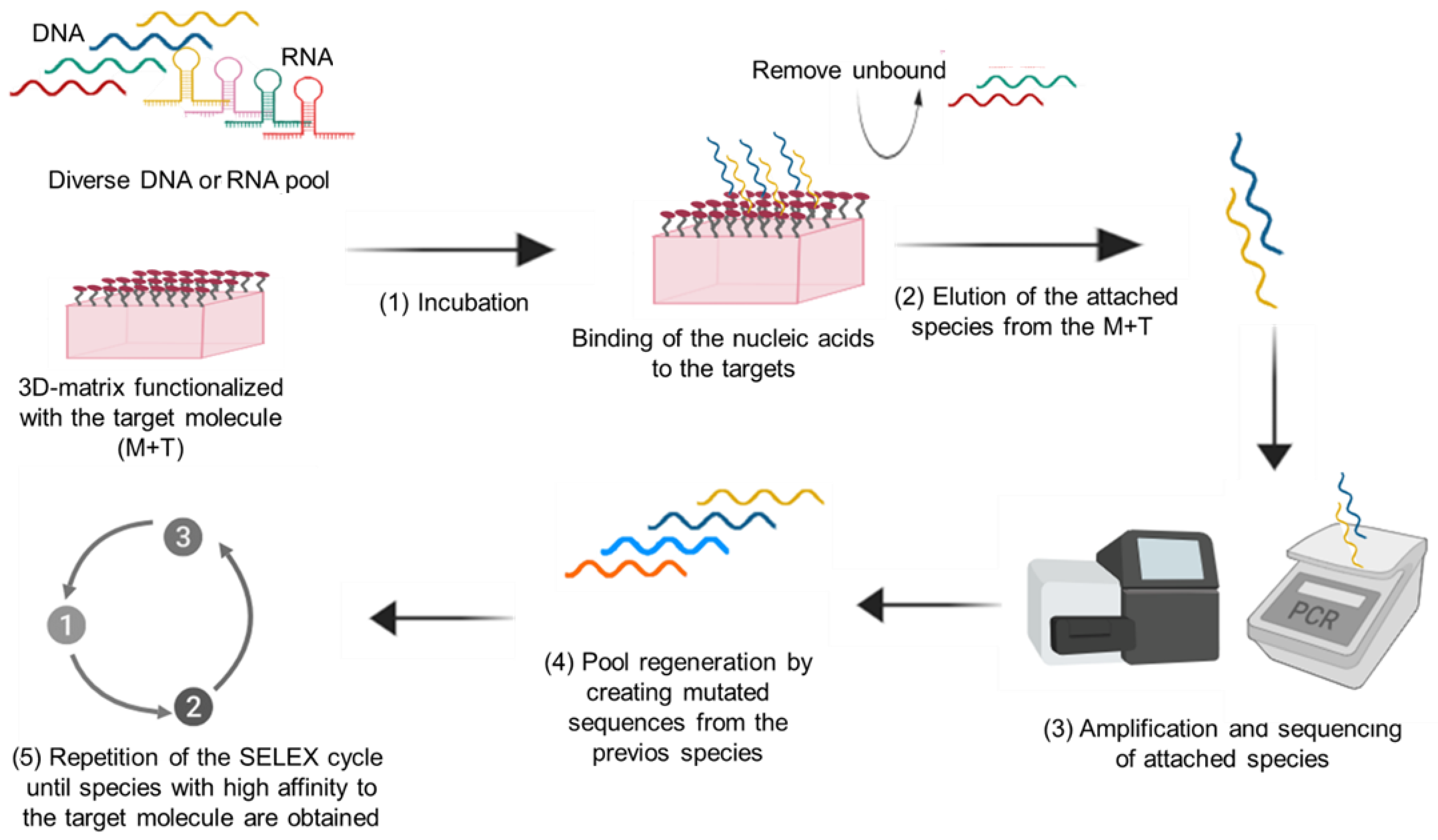 Cancers 14 01867 g006
