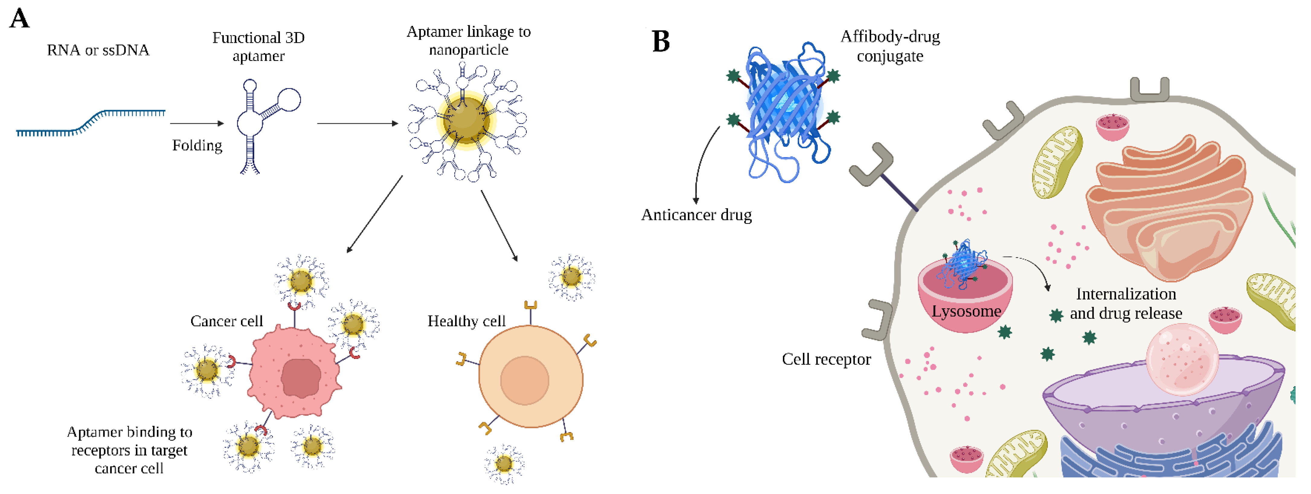 Cancers 14 01867 g007