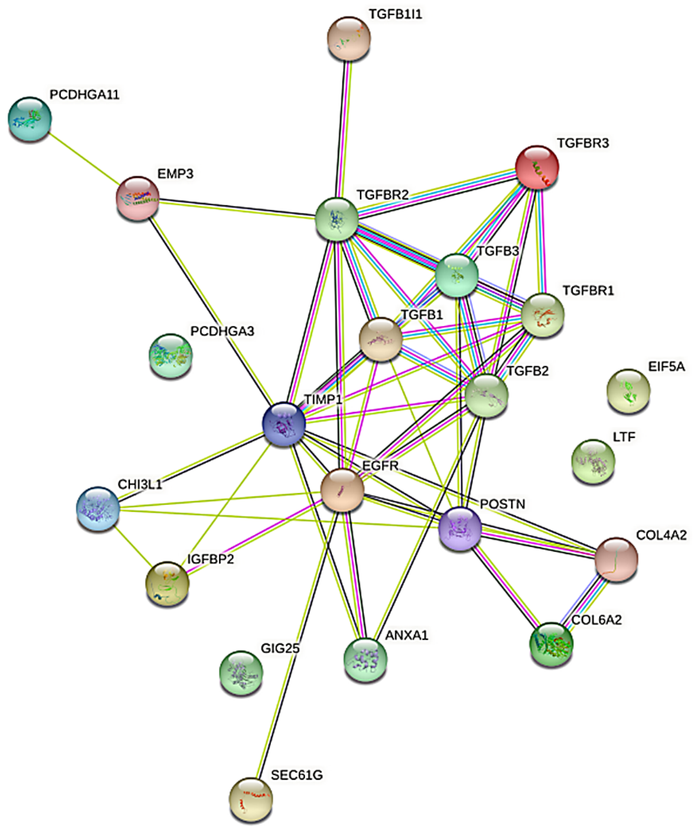 Cancers 14 01876 g005