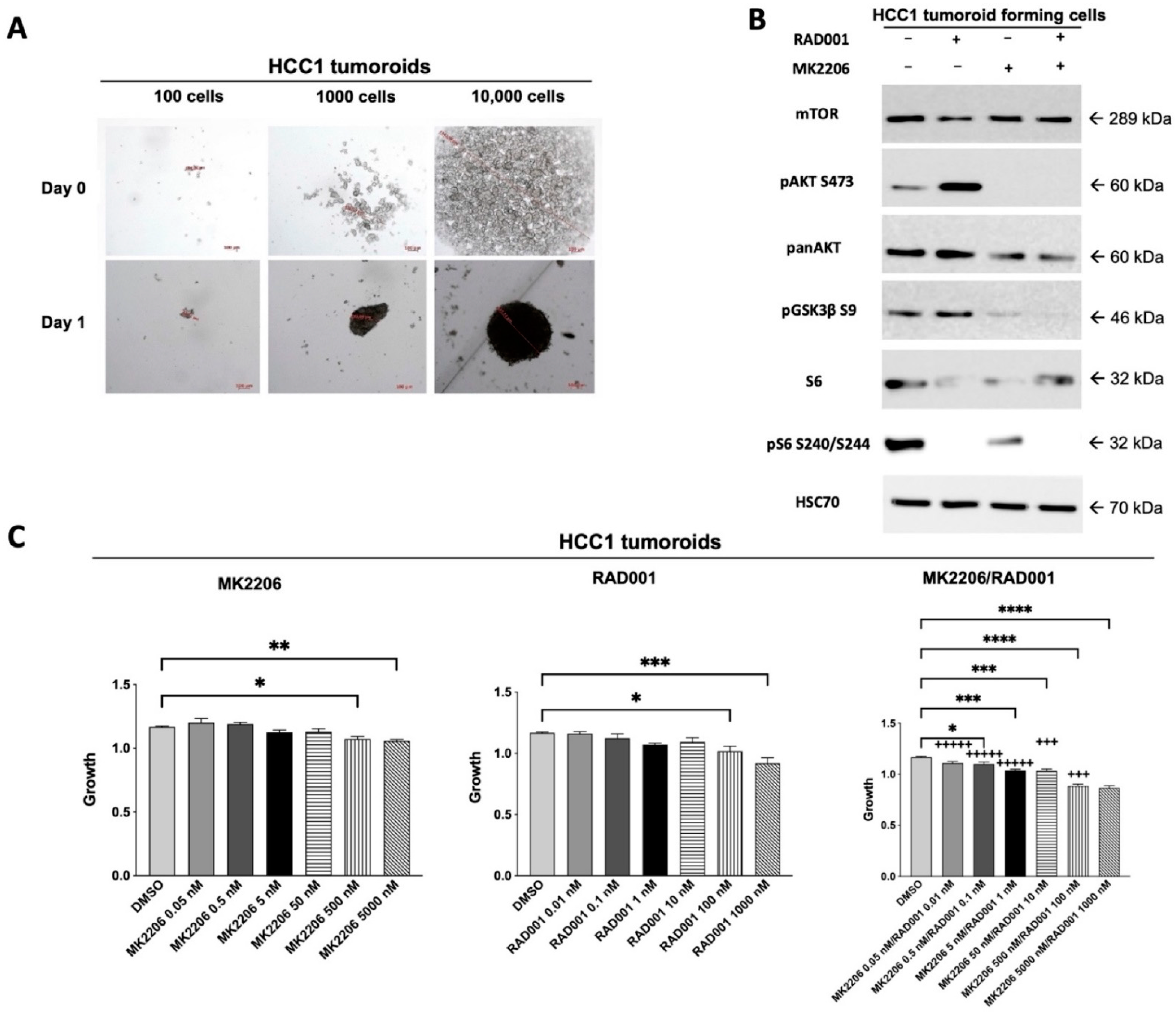 Cancers 14 01882 g003a