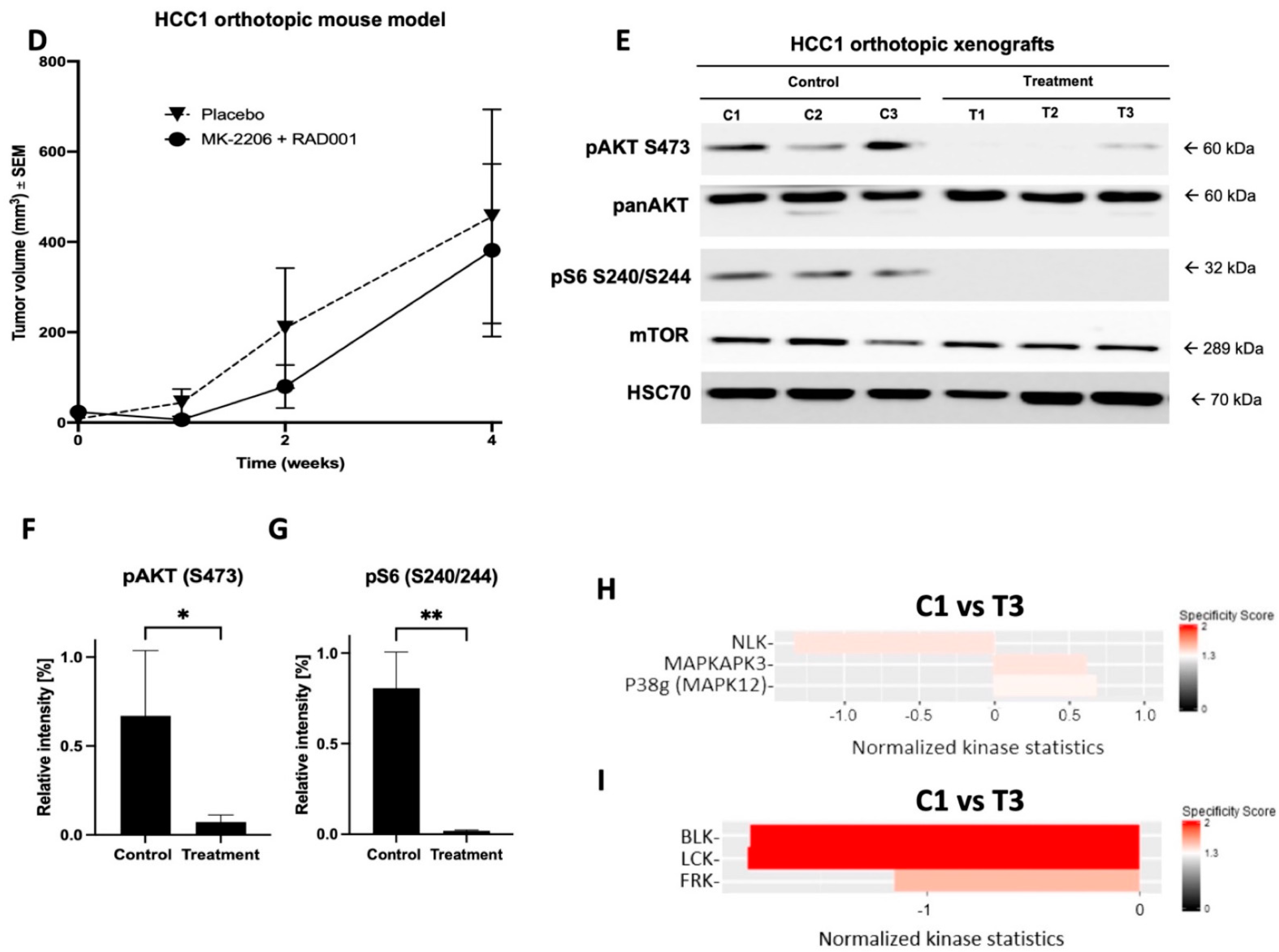 Cancers 14 01882 g003b