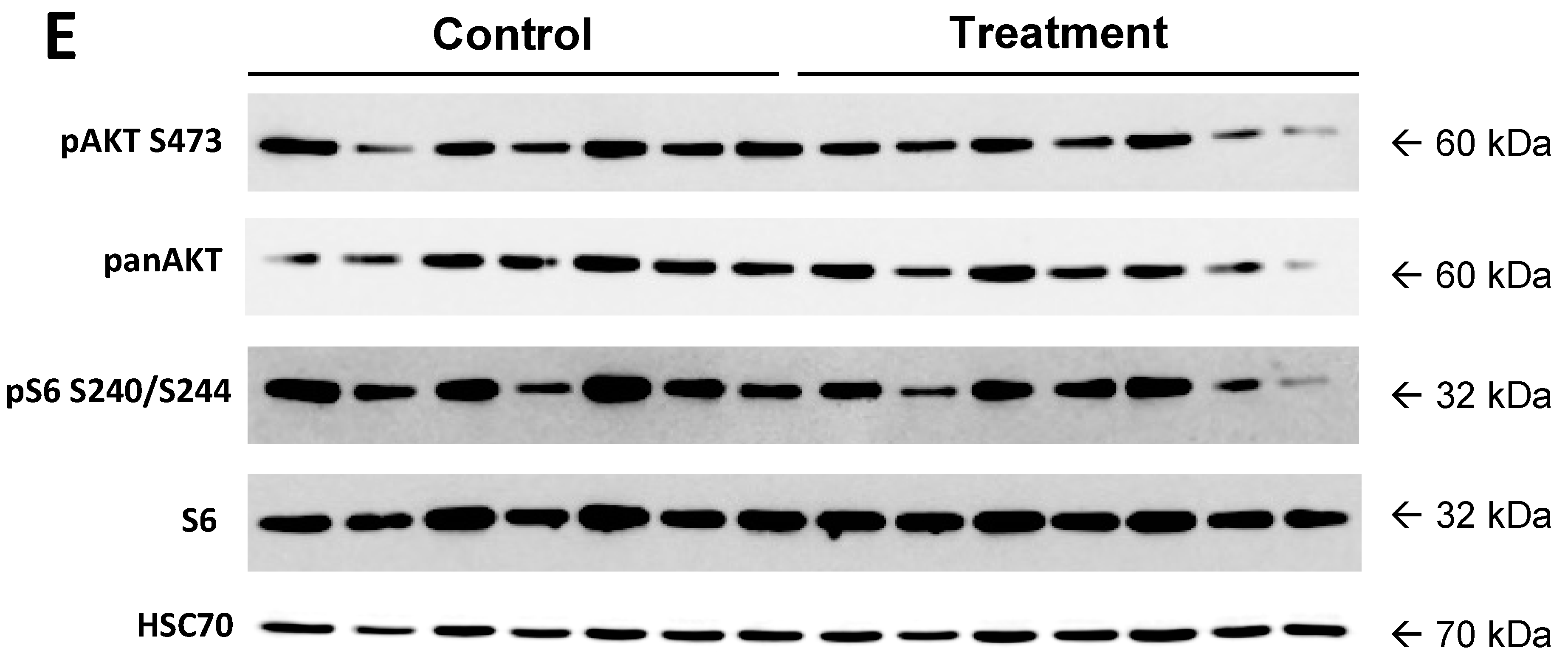 Cancers 14 01882 g004b