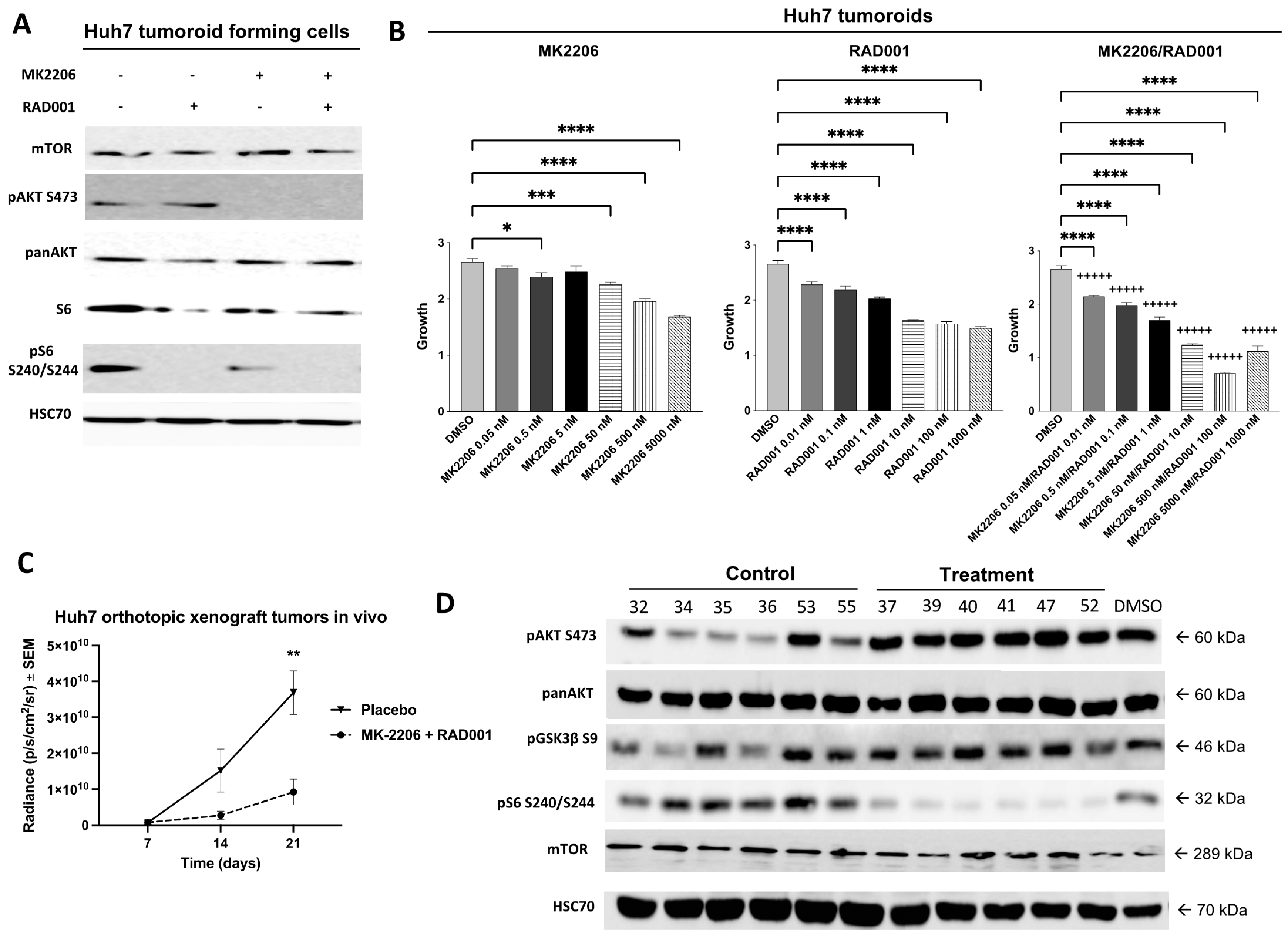 Cancers 14 01882 g005a