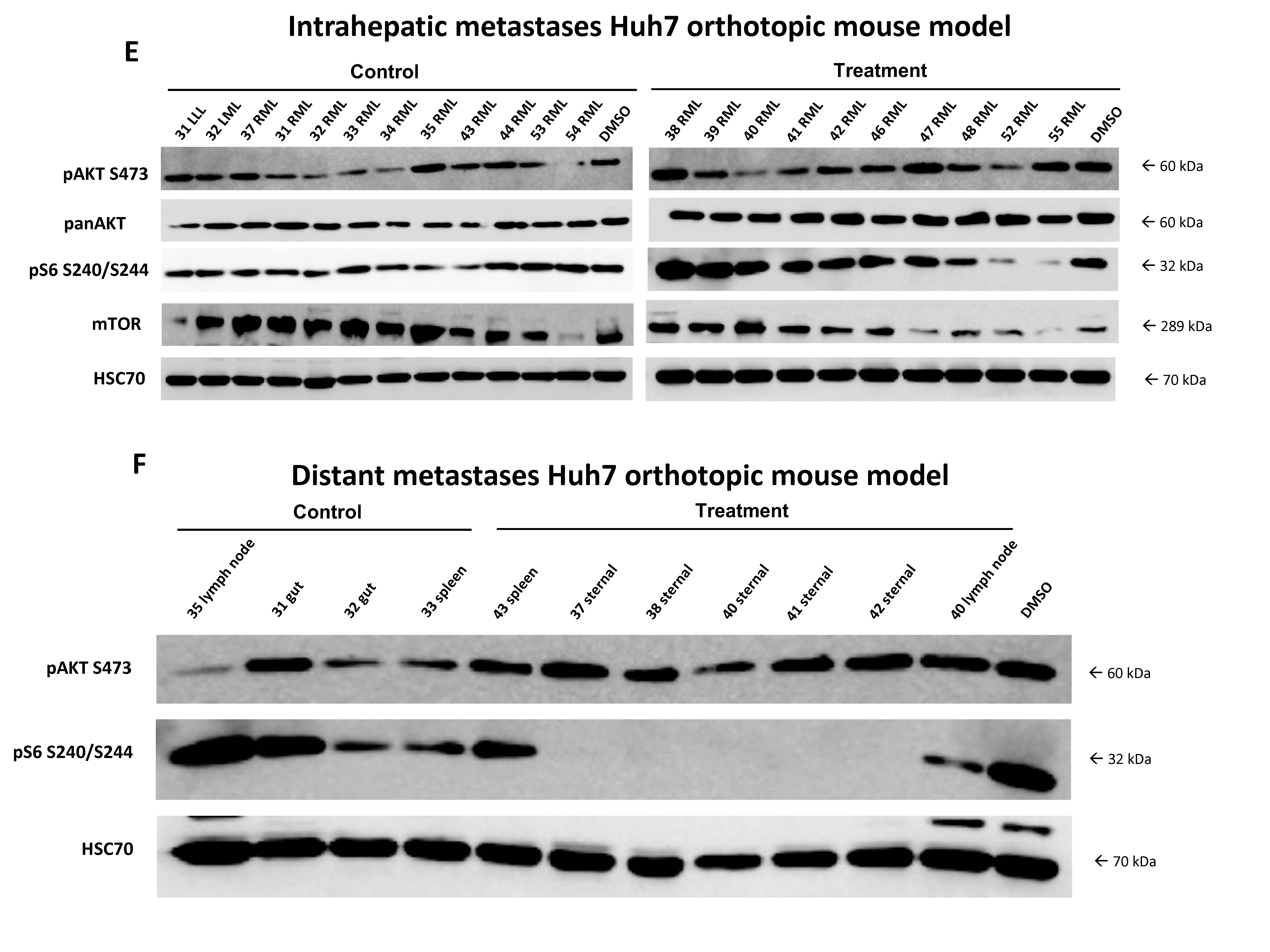 Cancers 14 01882 g005b