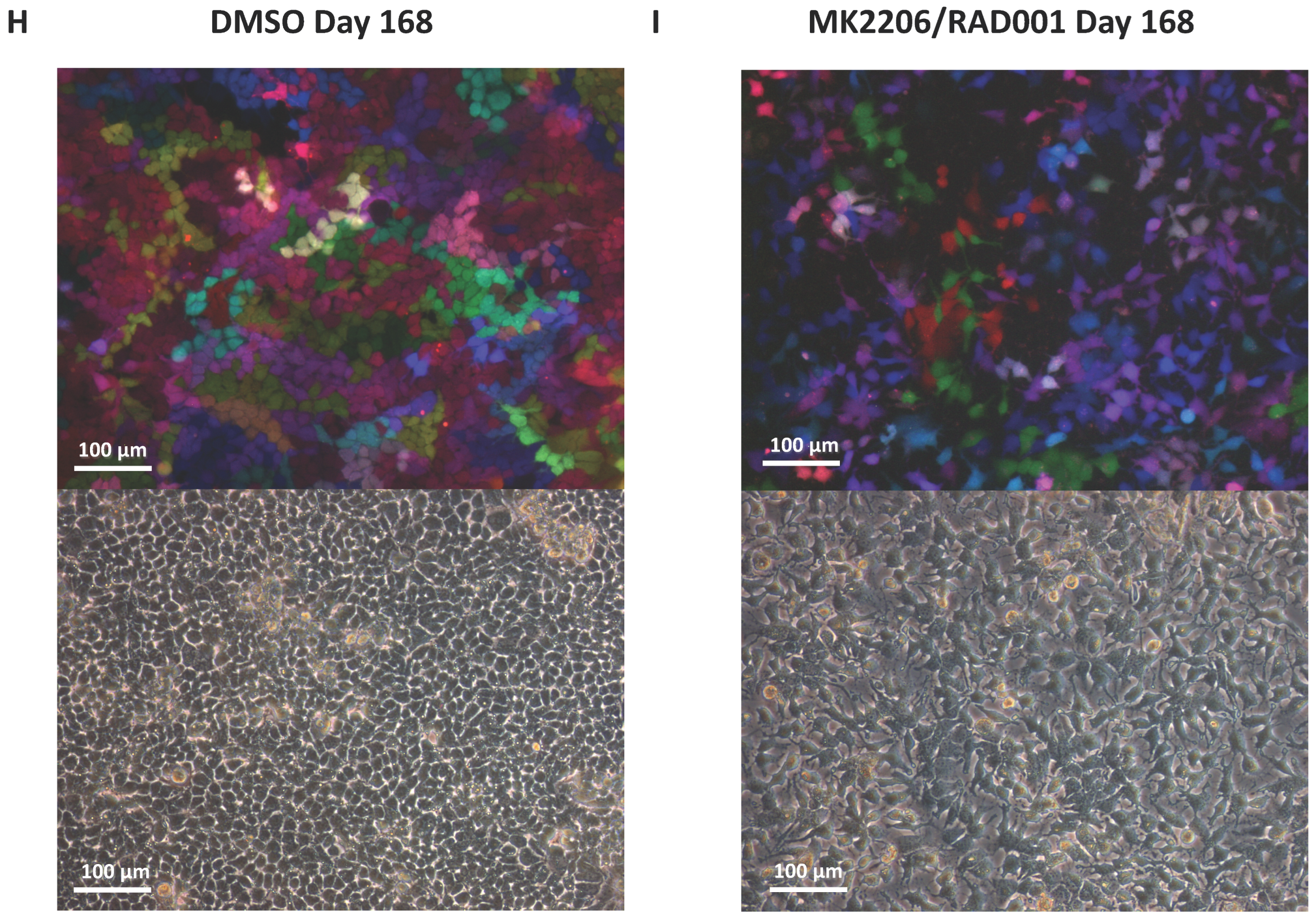 Cancers 14 01882 g005d