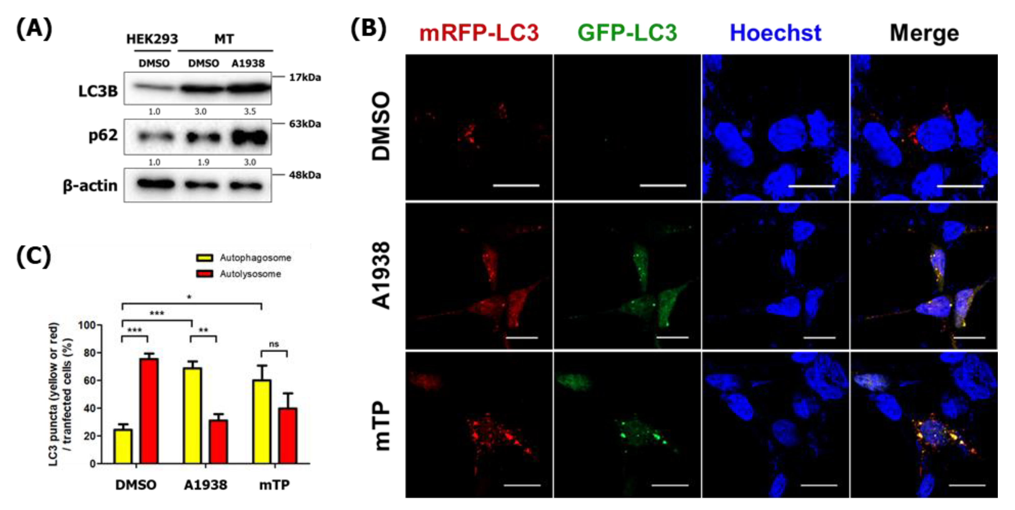 Cancers 14 01883 g005