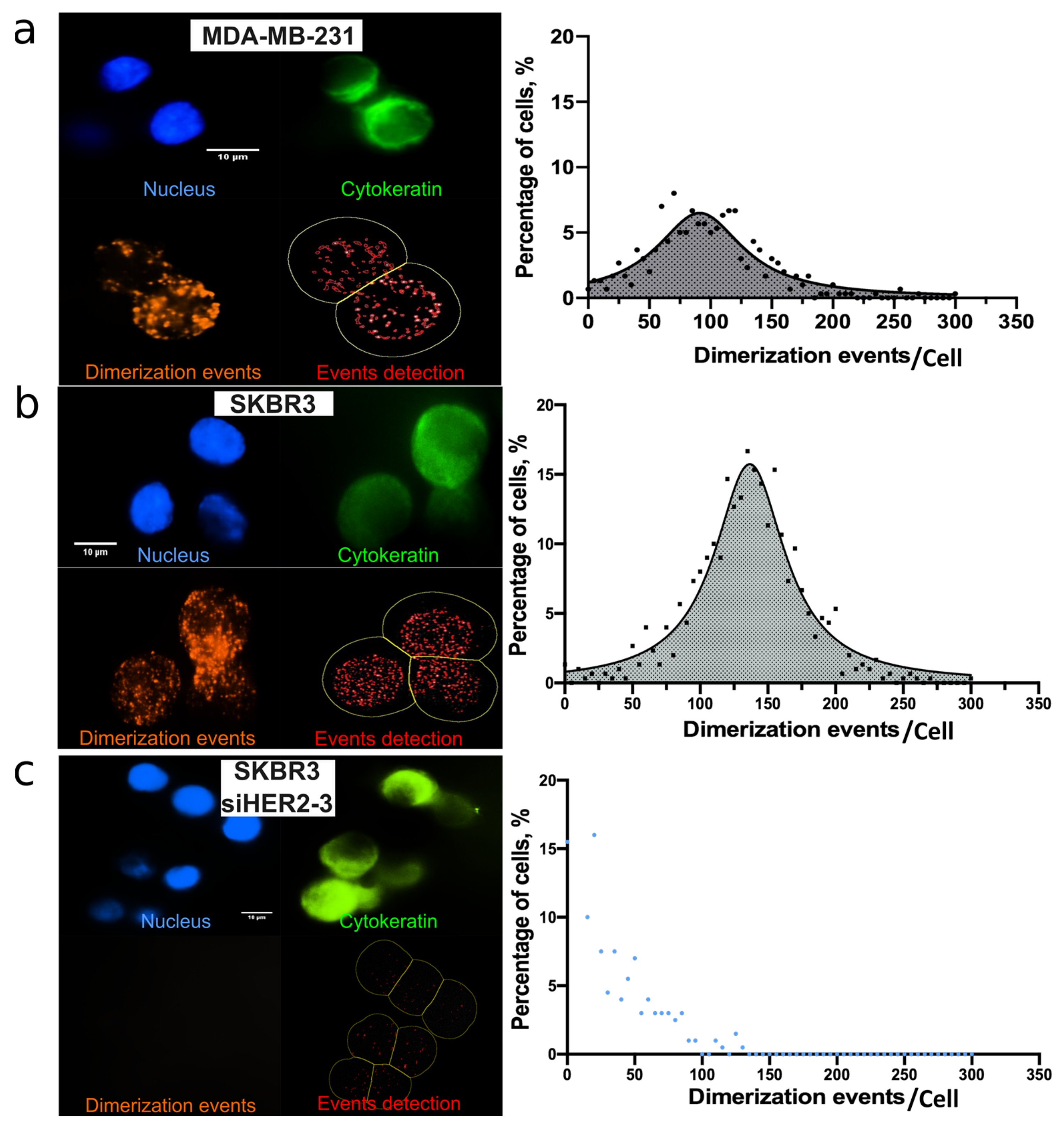 Cancers 14 01890 g003