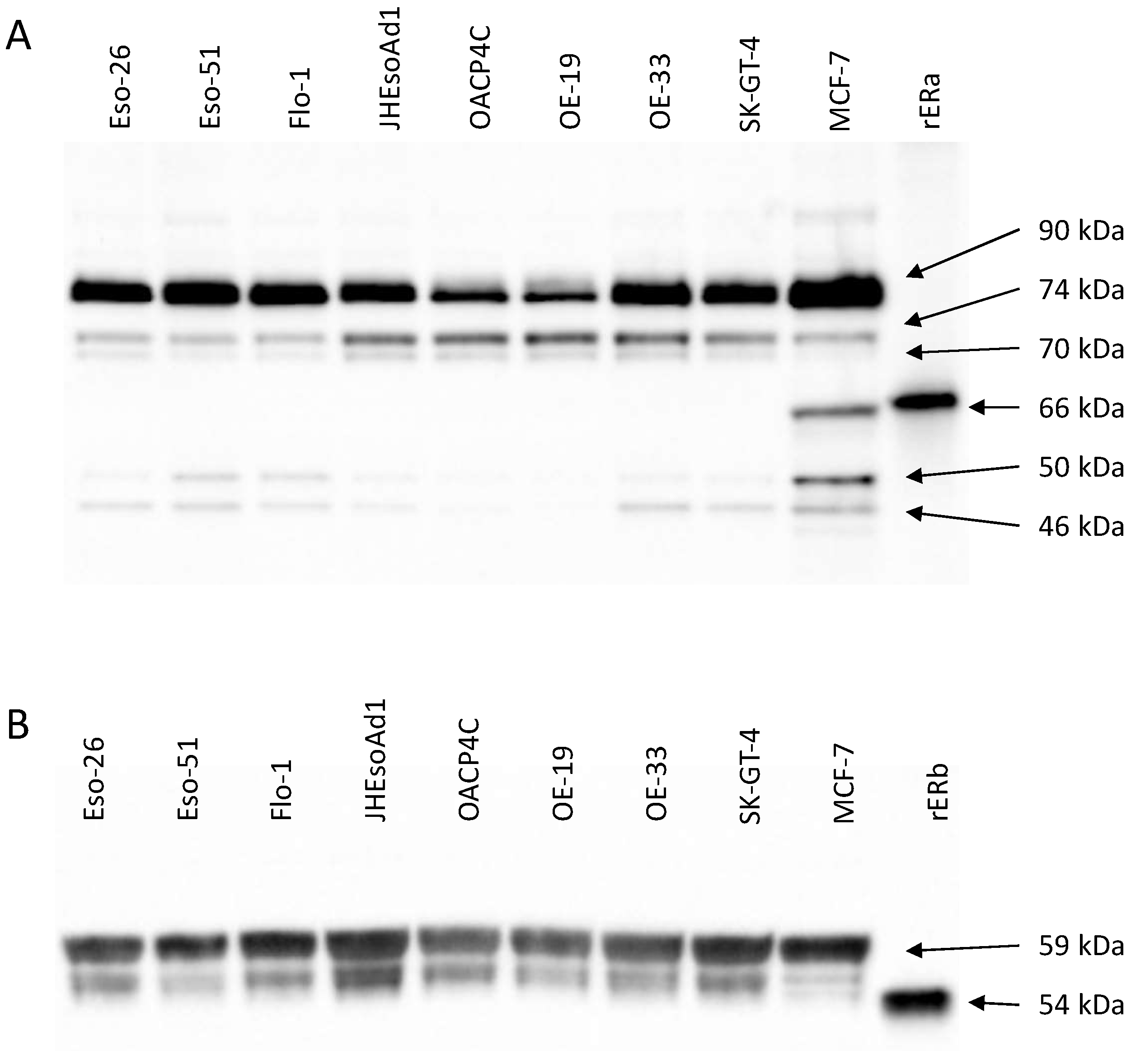 Cancers 14 01891 g001 Cancers 14 01891 g001