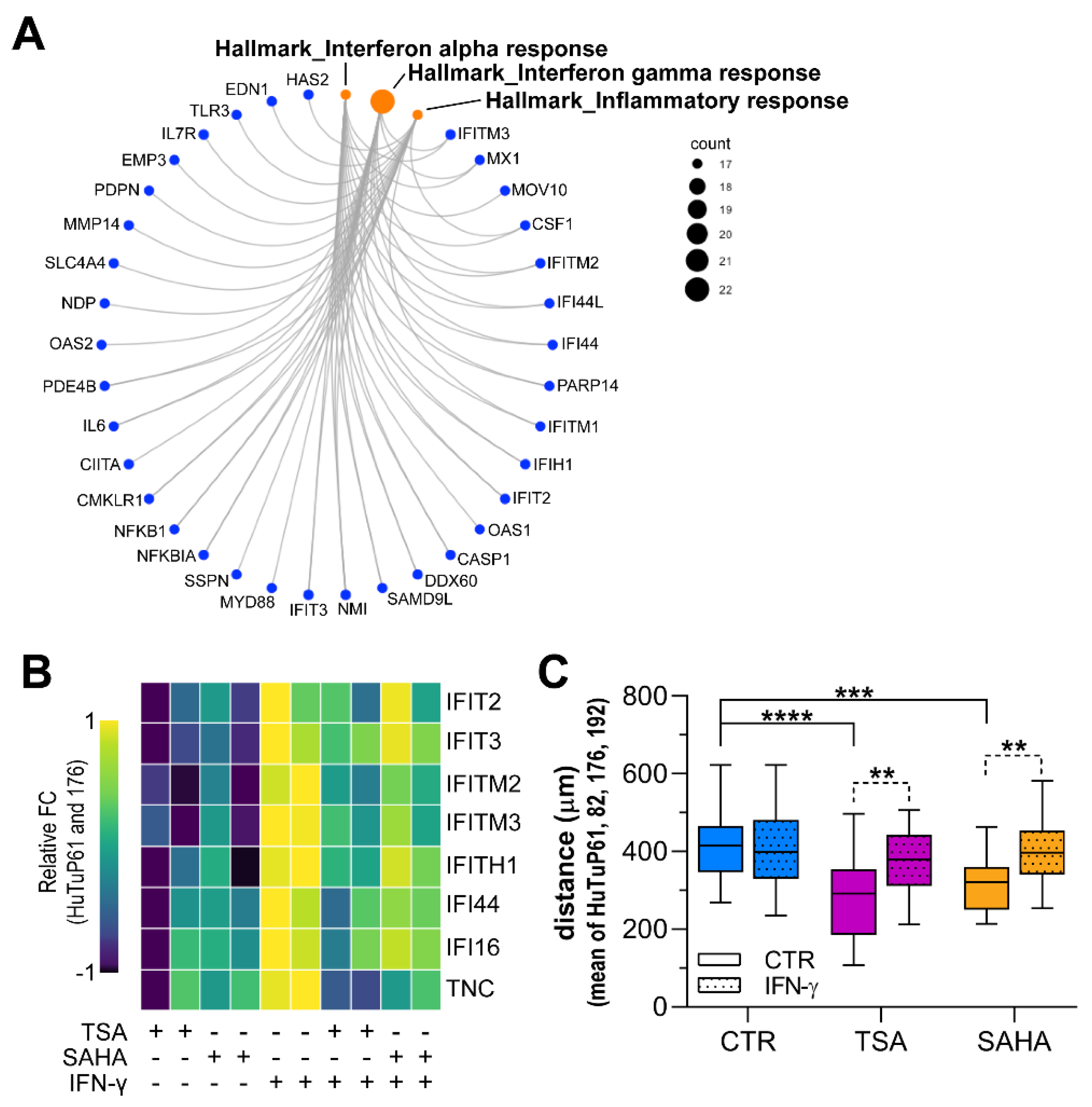 Cancers 14 01897 g007