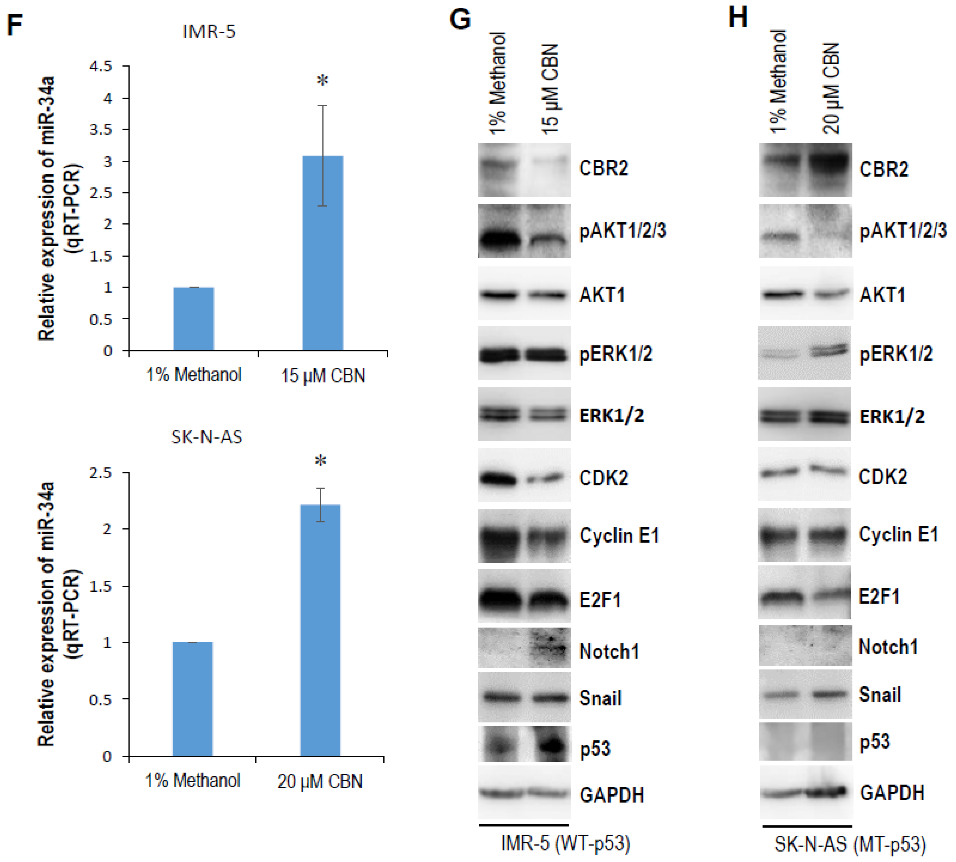 Cancers 14 01908 g002e