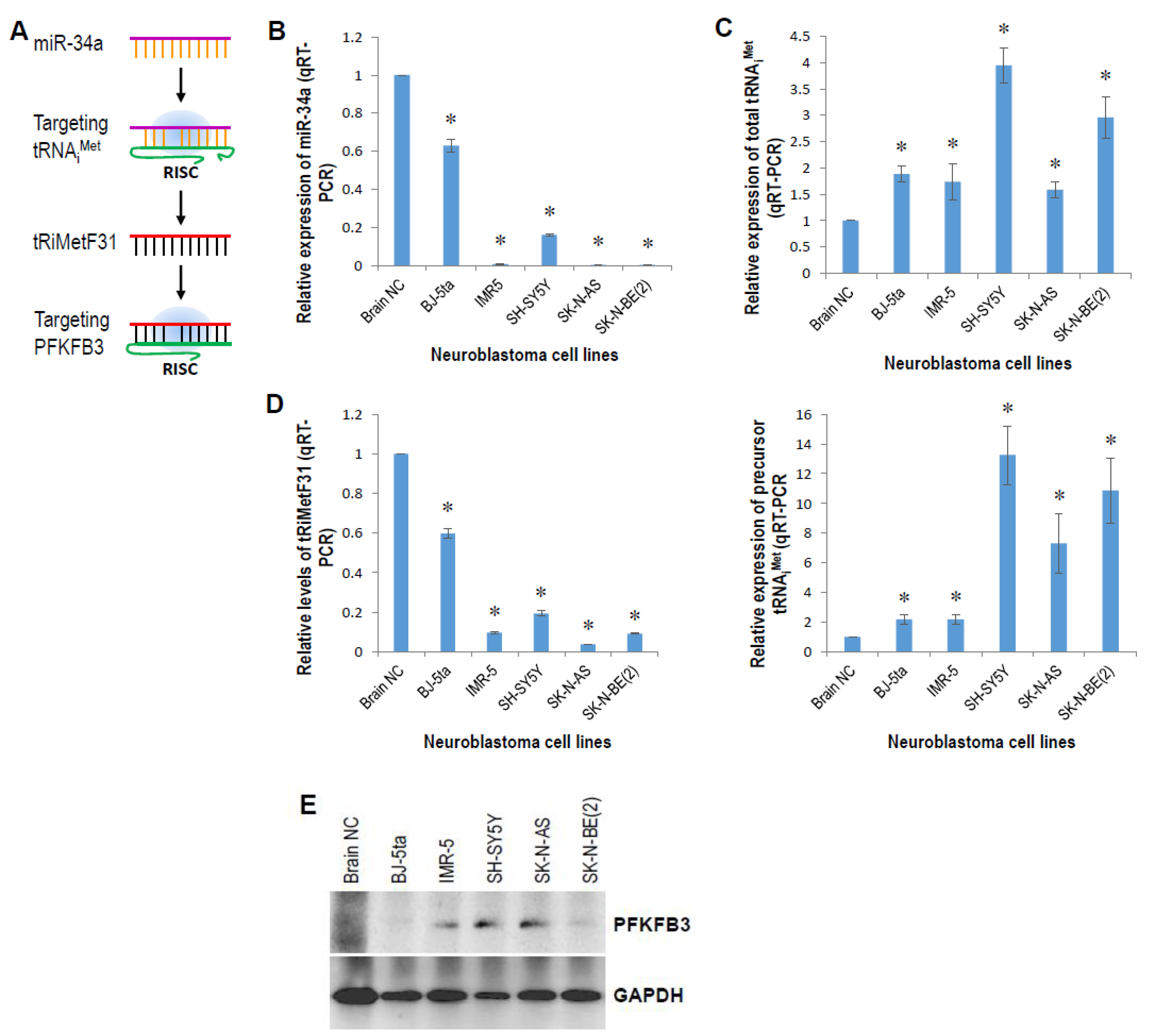 Cancers 14 01908 g003