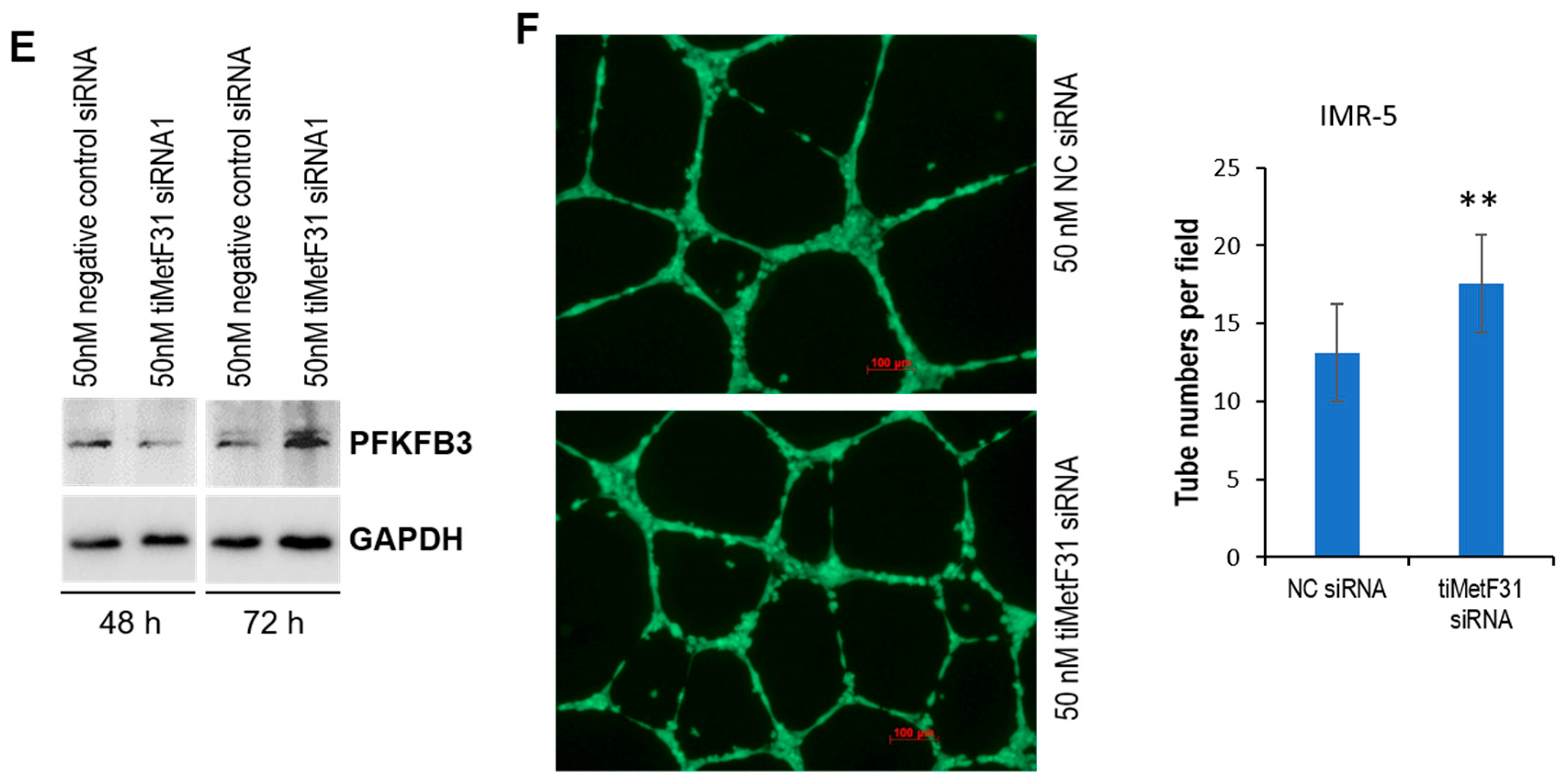 Cancers 14 01908 g006b