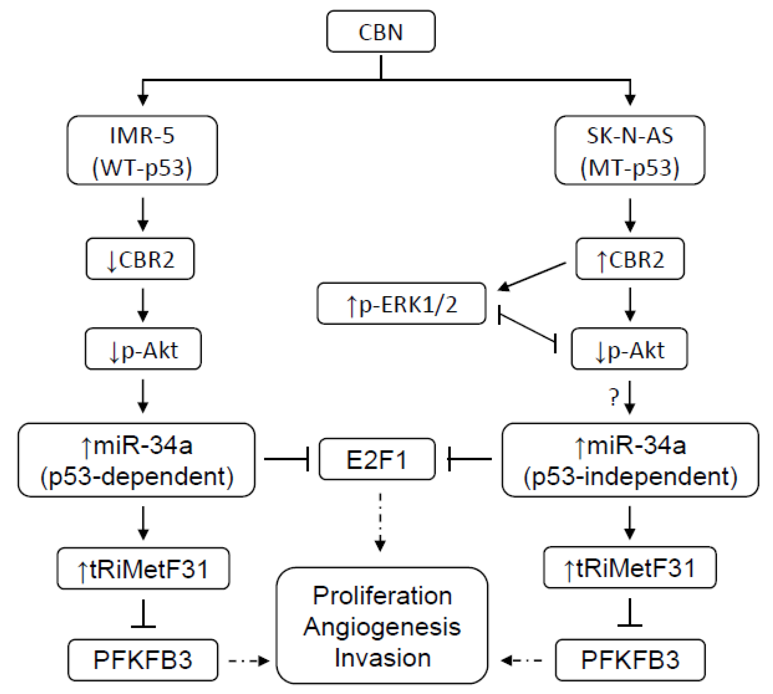 Cancers 14 01908 g007