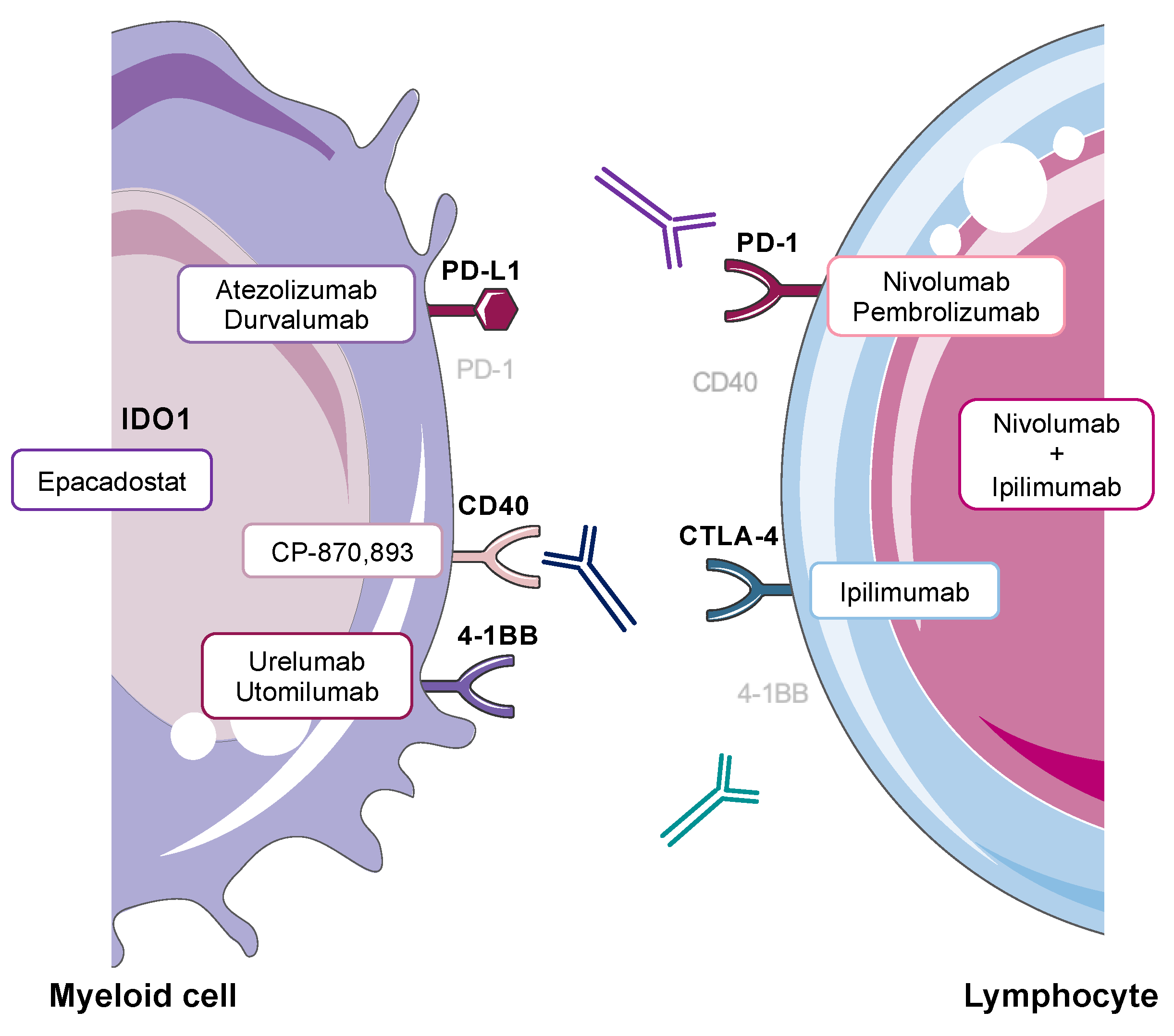 Cancers 14 01913 g001