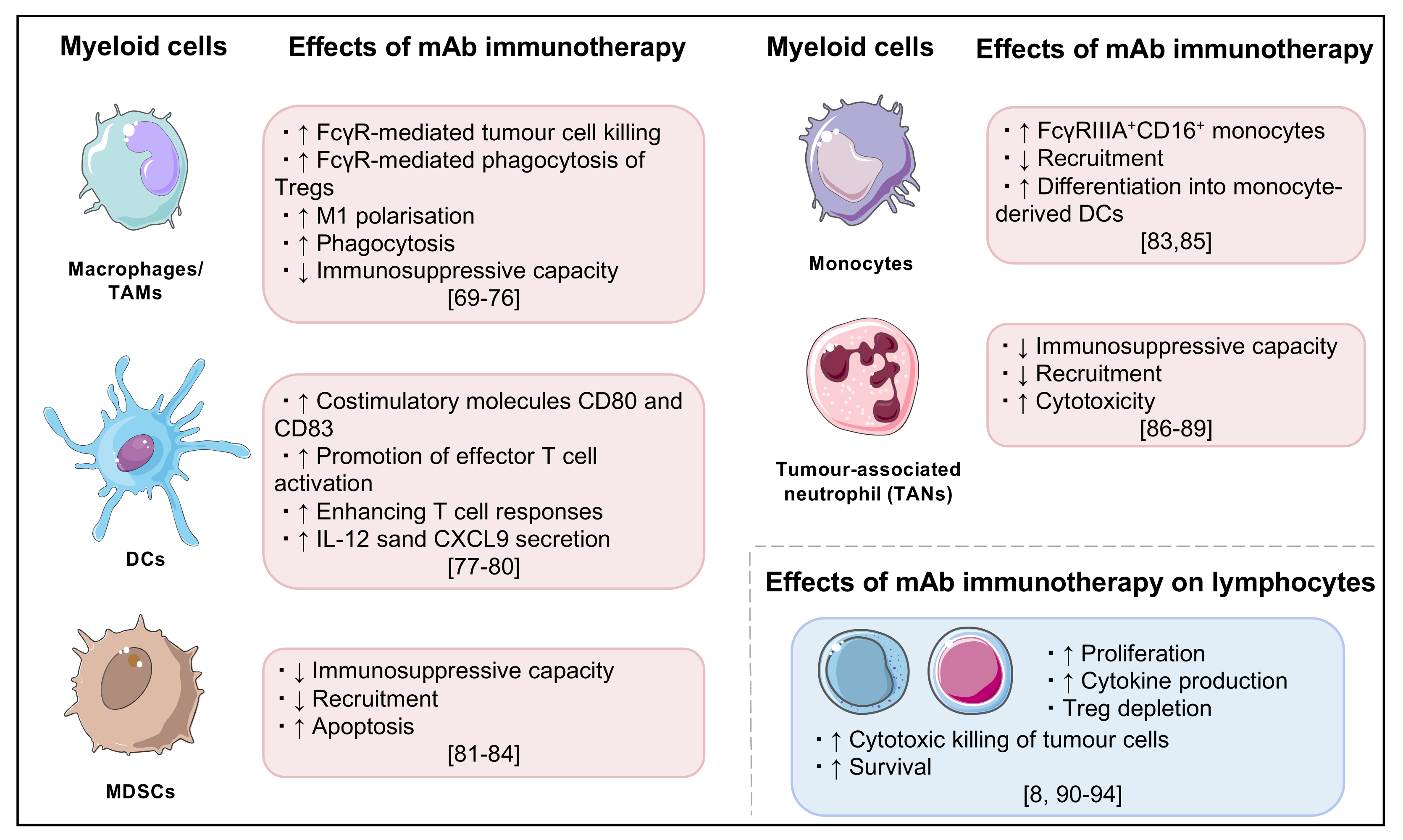 Cancers 14 01913 g002
