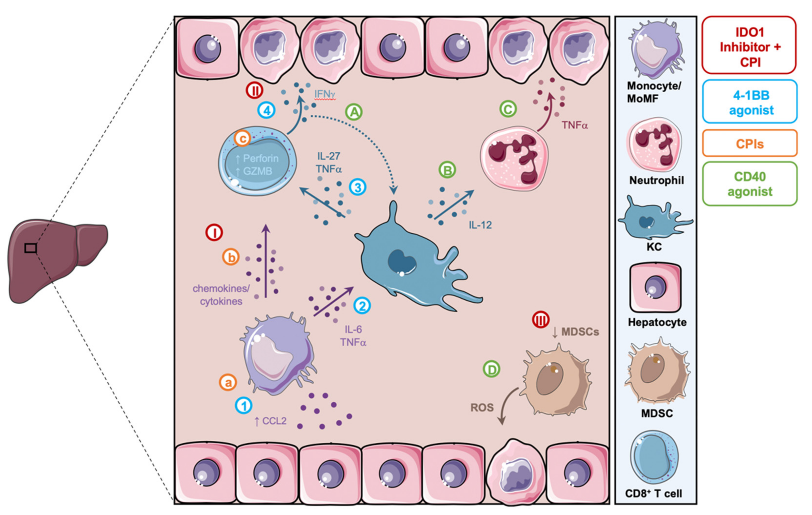 Cancers 14 01913 g003