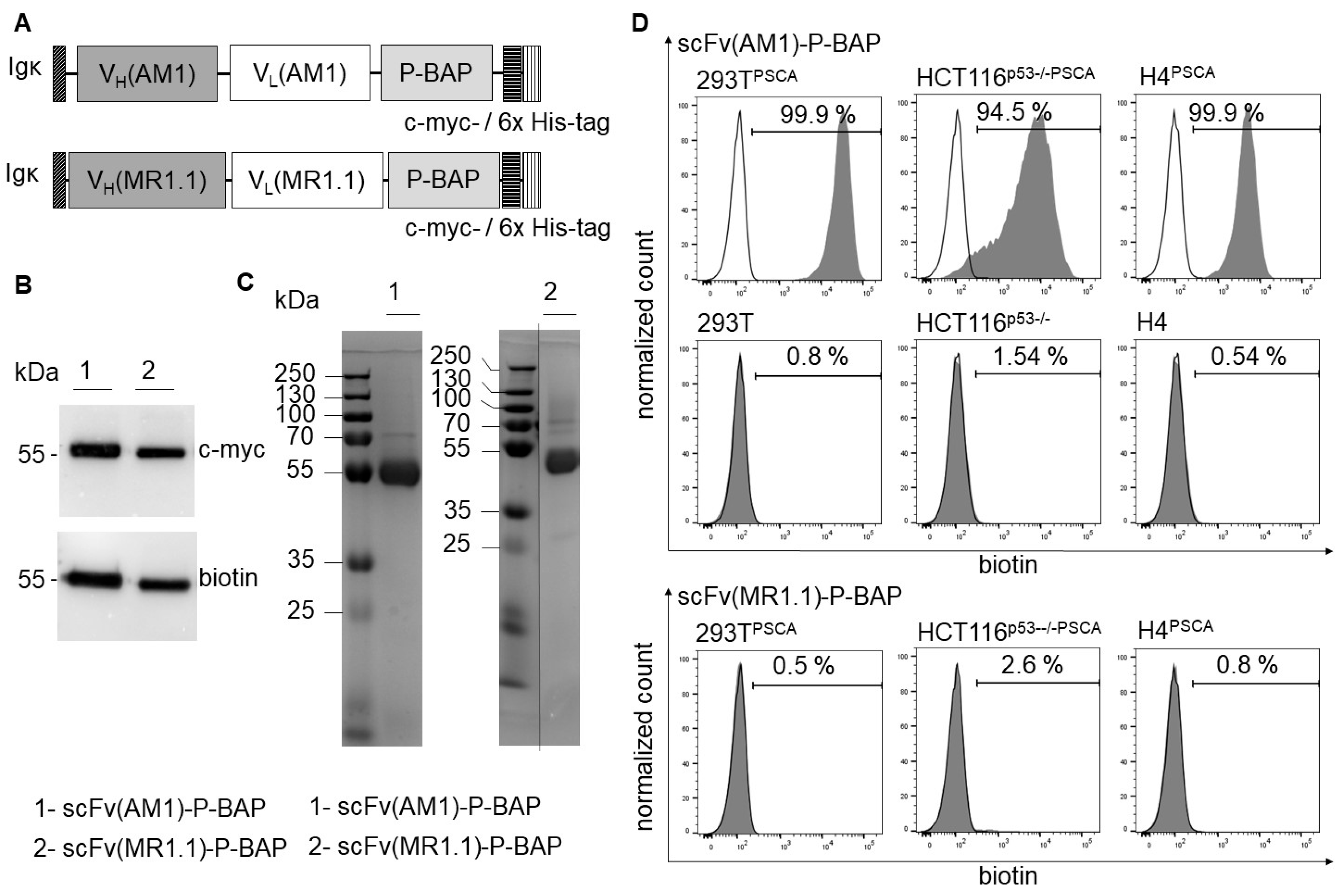 Cancers 14 01925 g002