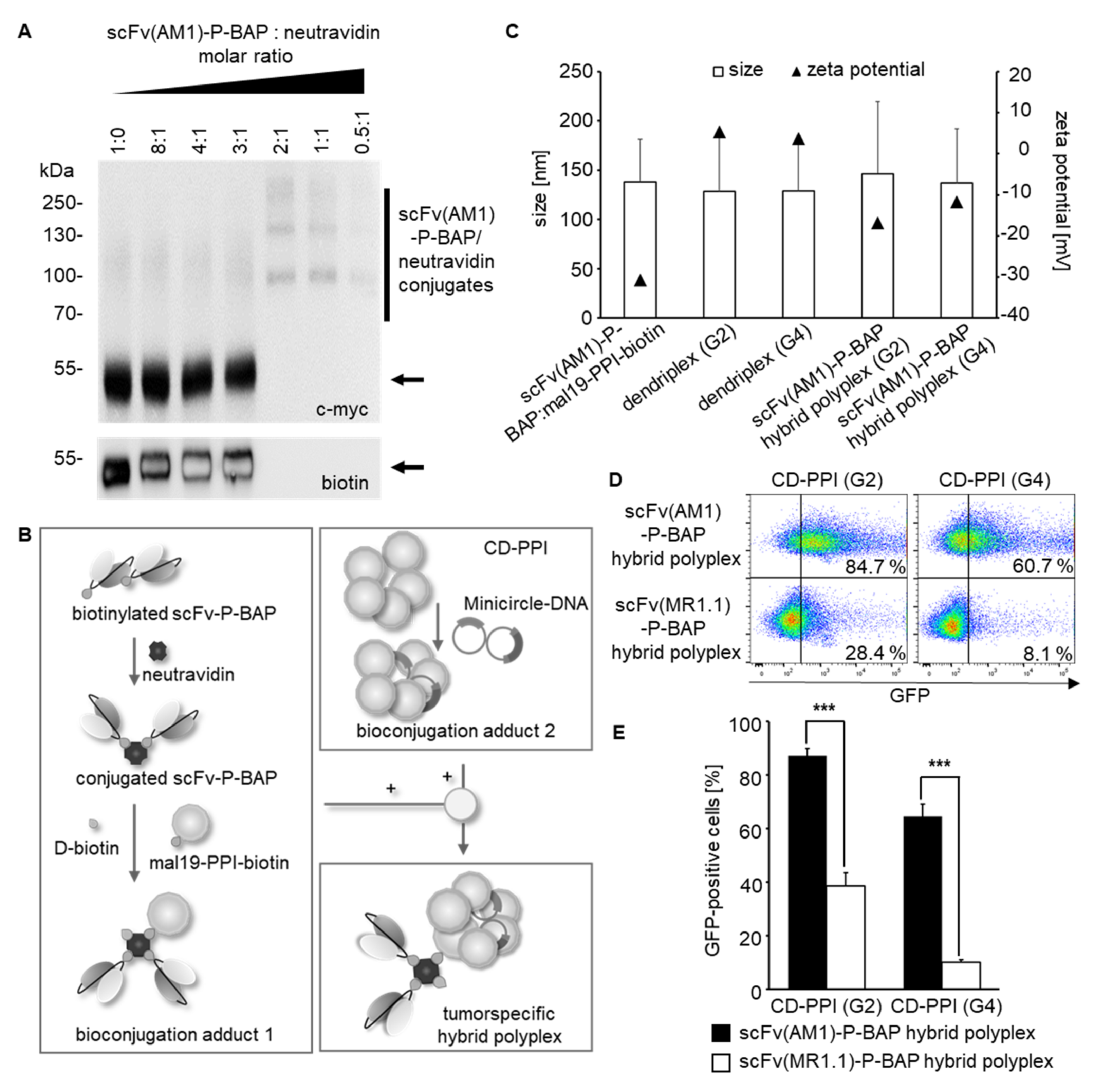Cancers 14 01925 g003