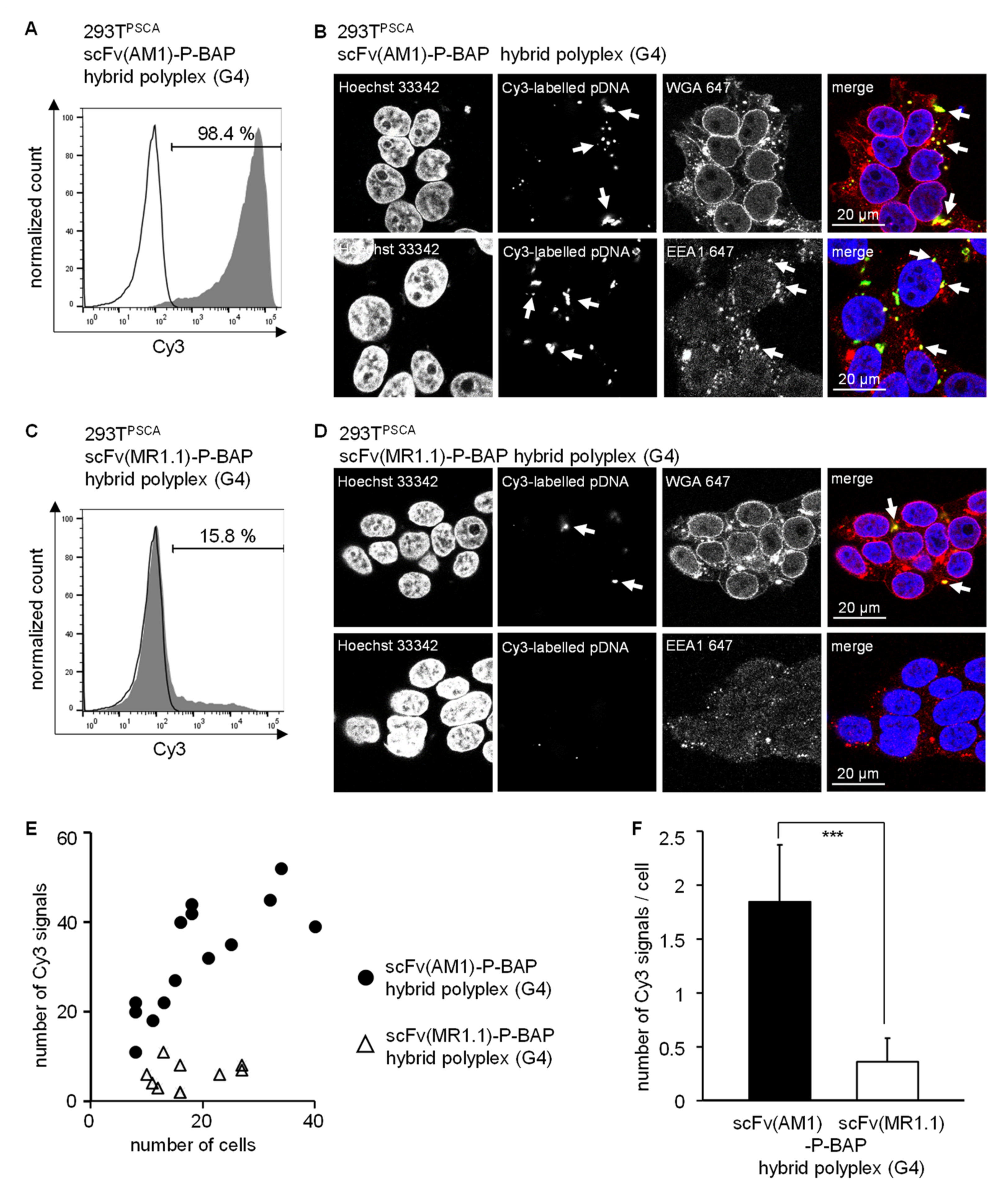 Cancers 14 01925 g004