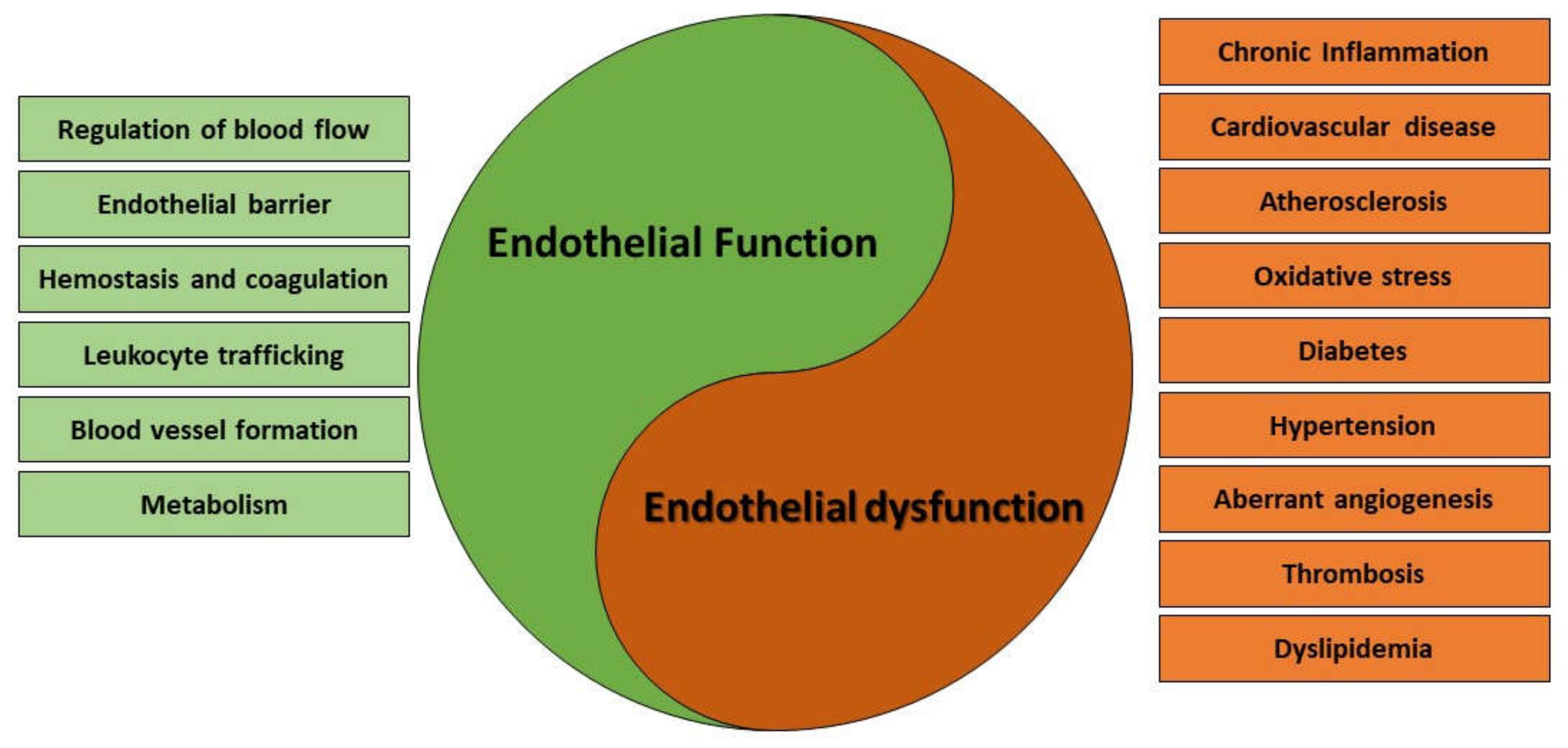 Cancers 14 01929 g001