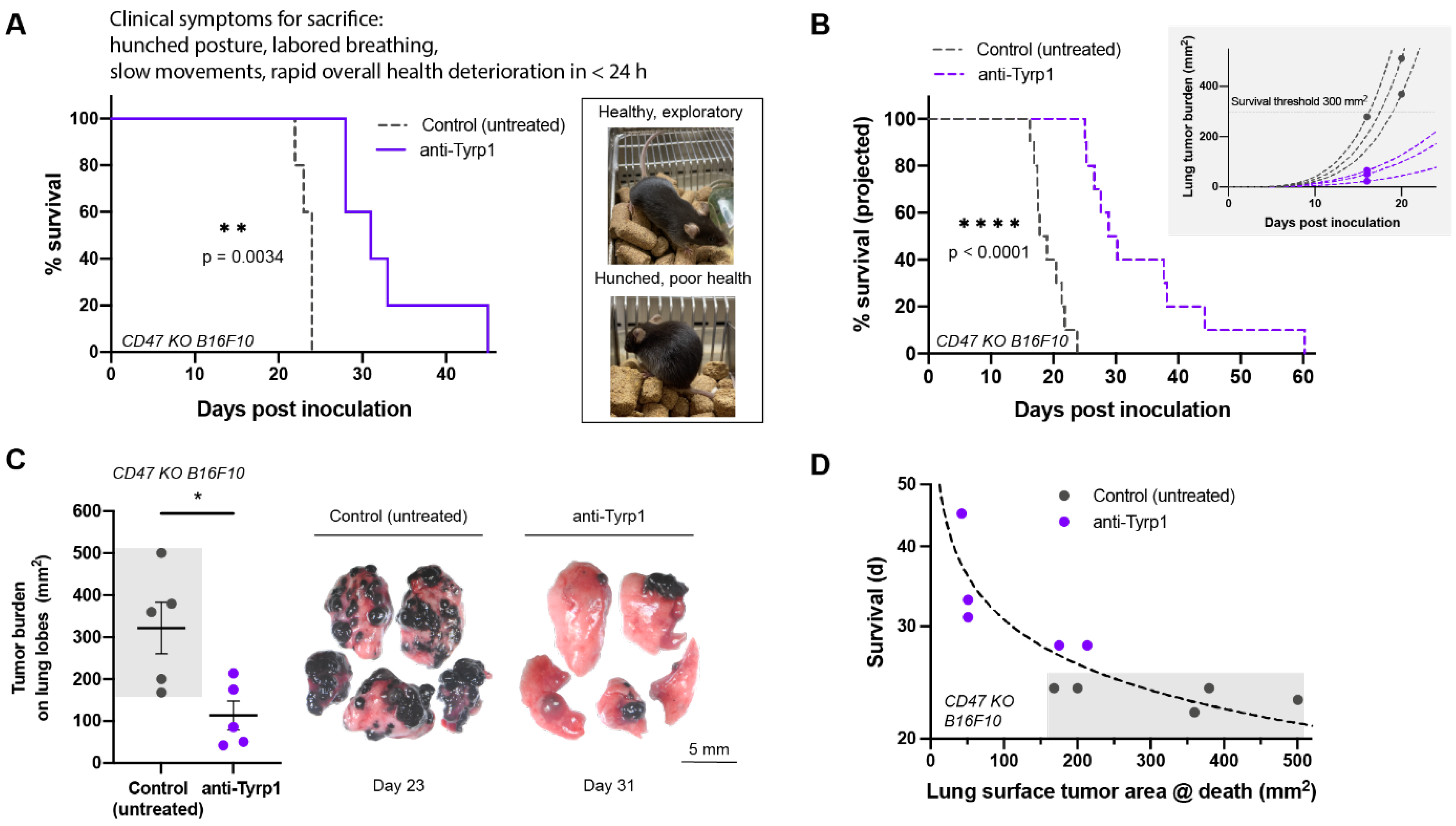 Cancers 14 01930 g004