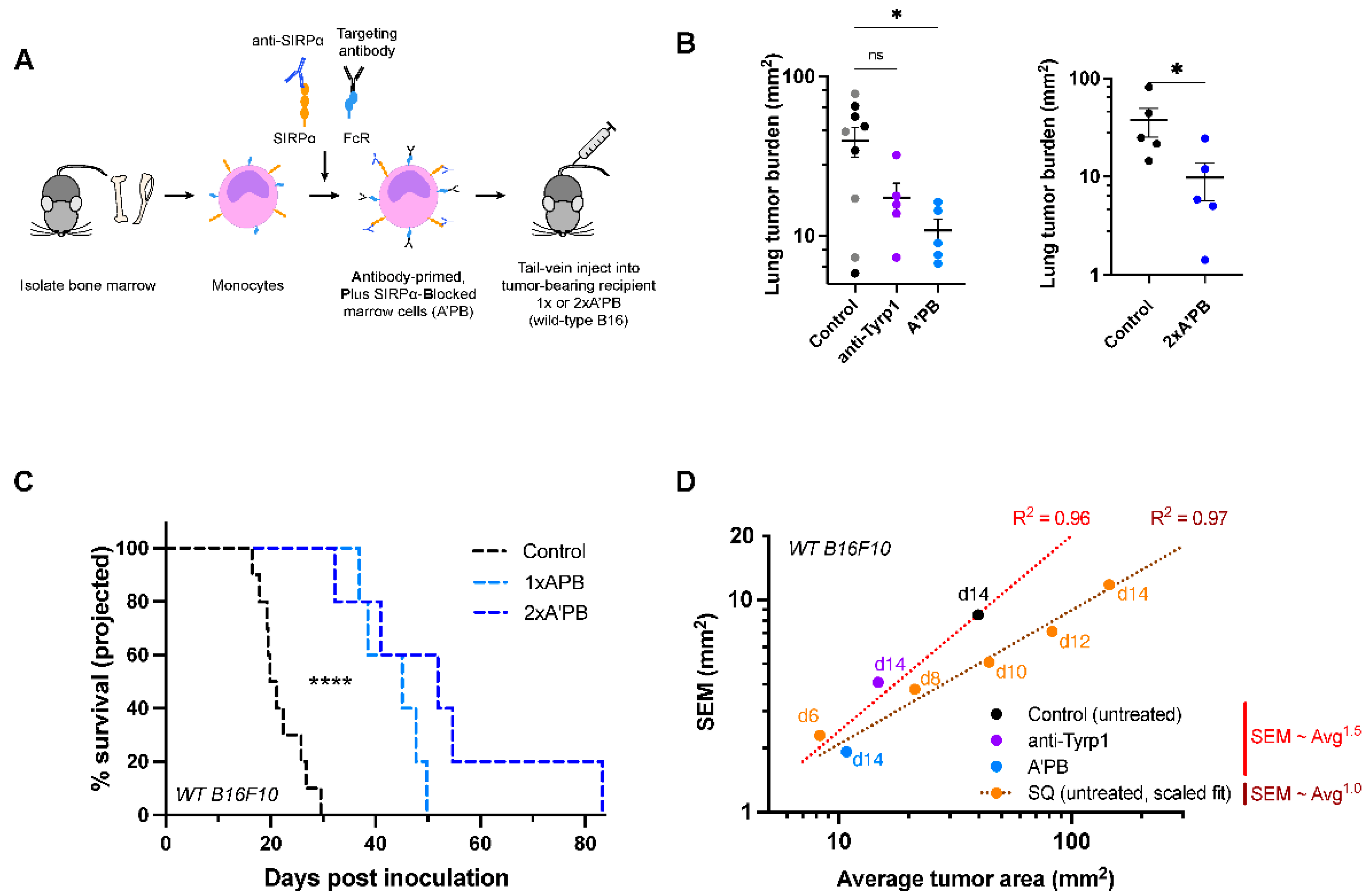 Cancers 14 01930 g005