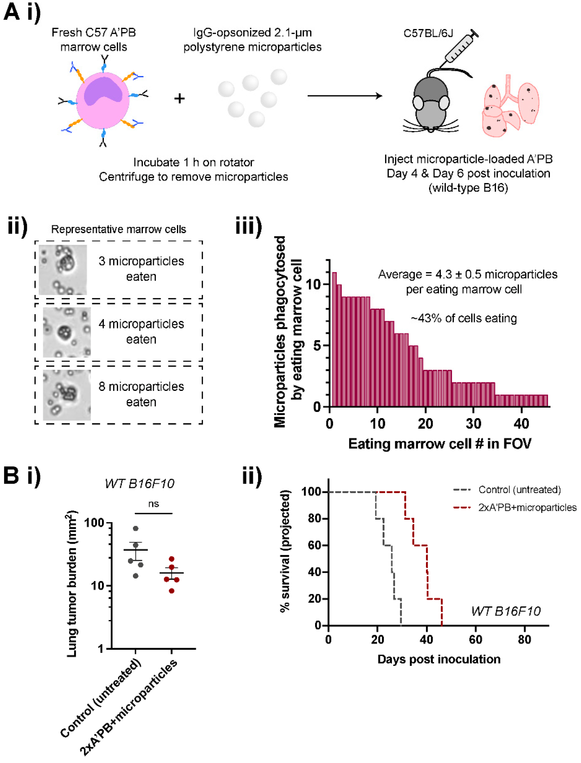 Cancers 14 01930 g007