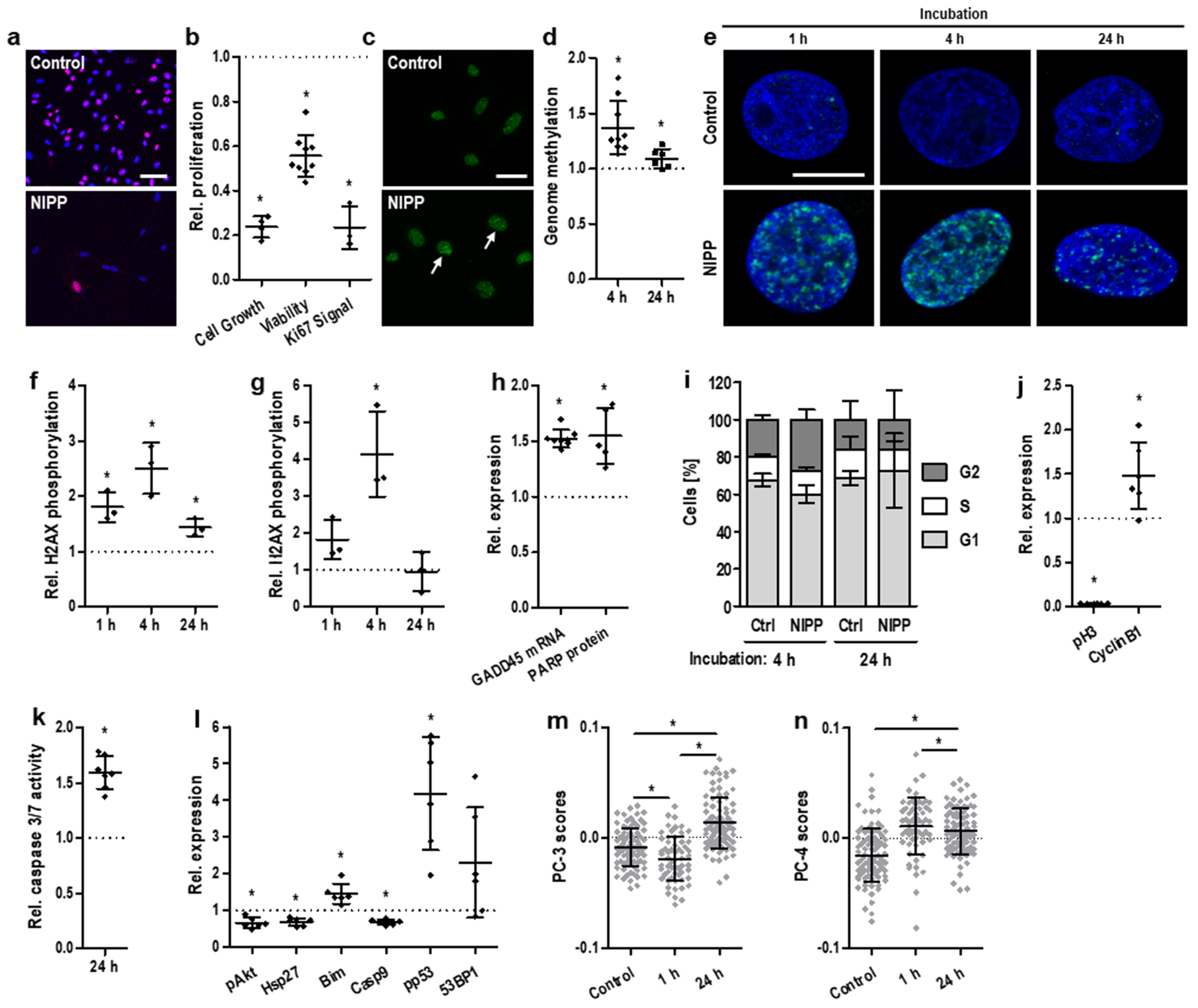 Cancers 14 01933 g001