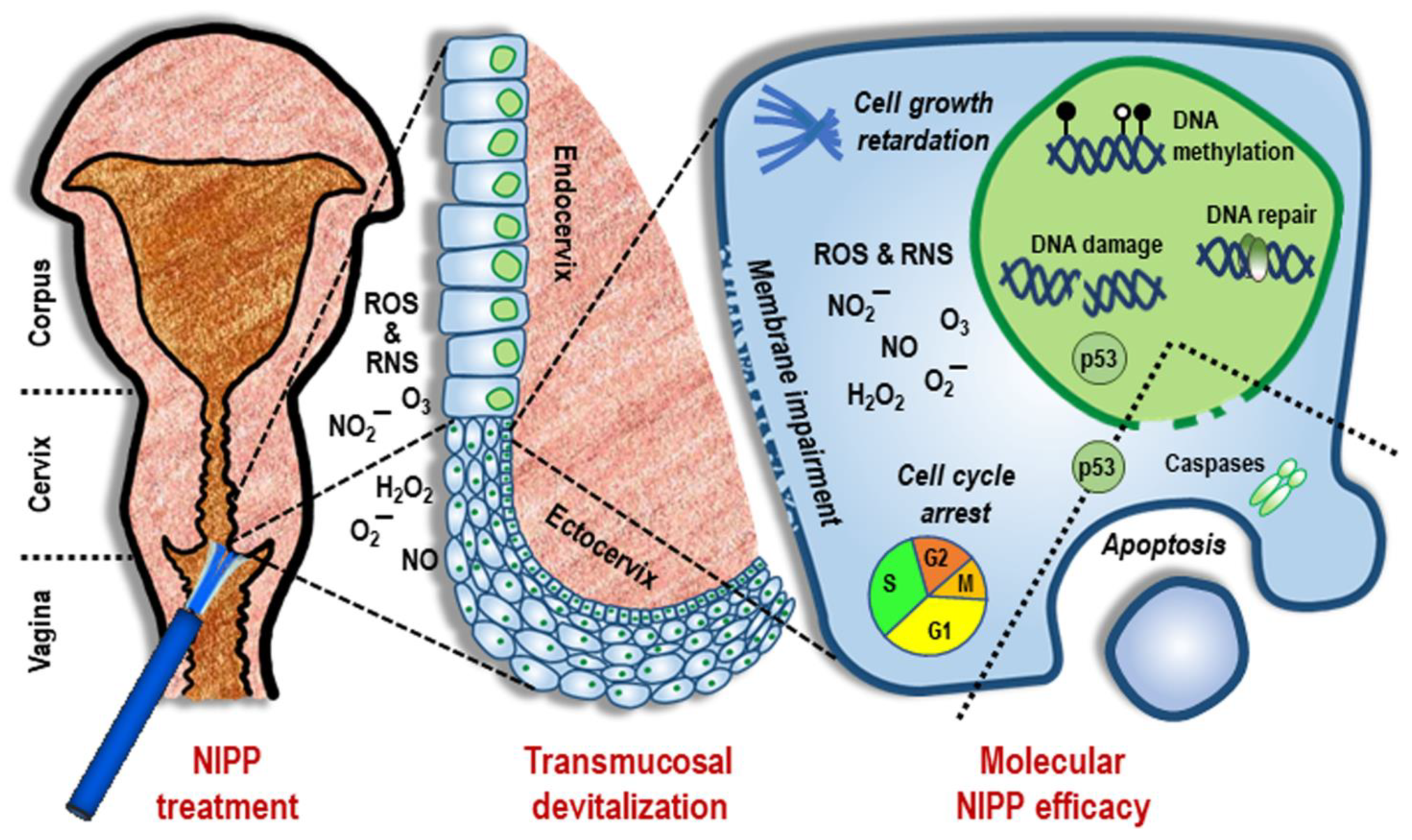 Cancers 14 01933 g005