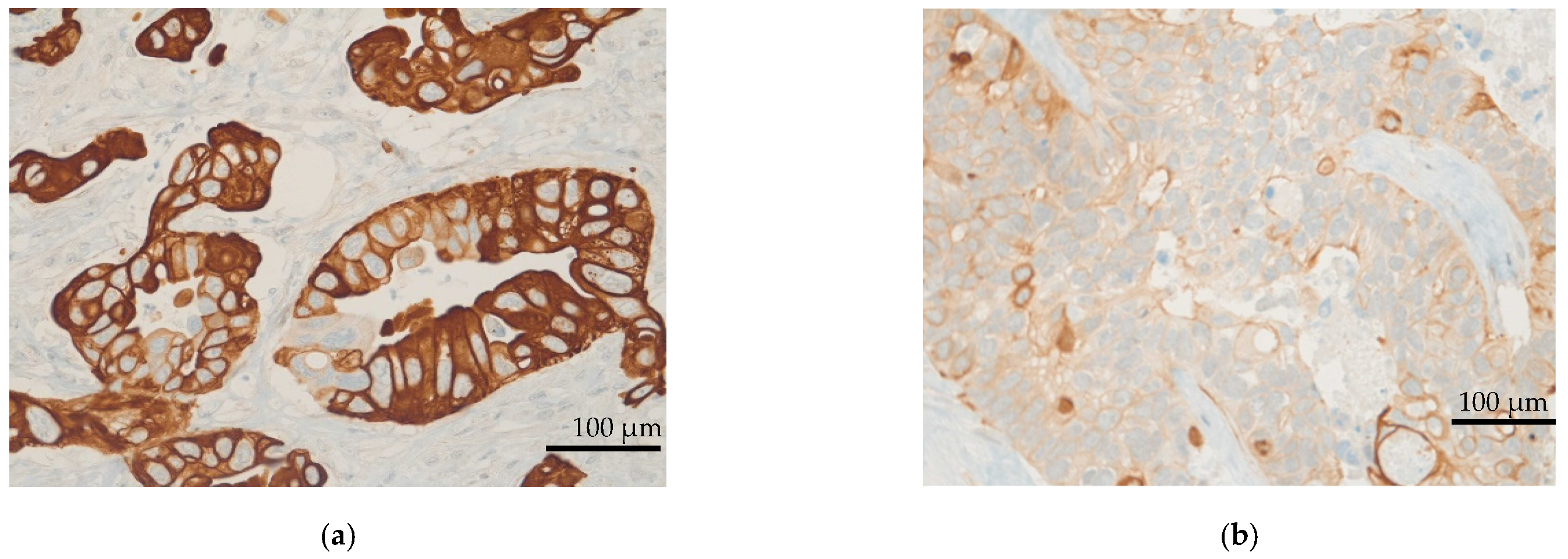 Cancers 14 01936 g001a