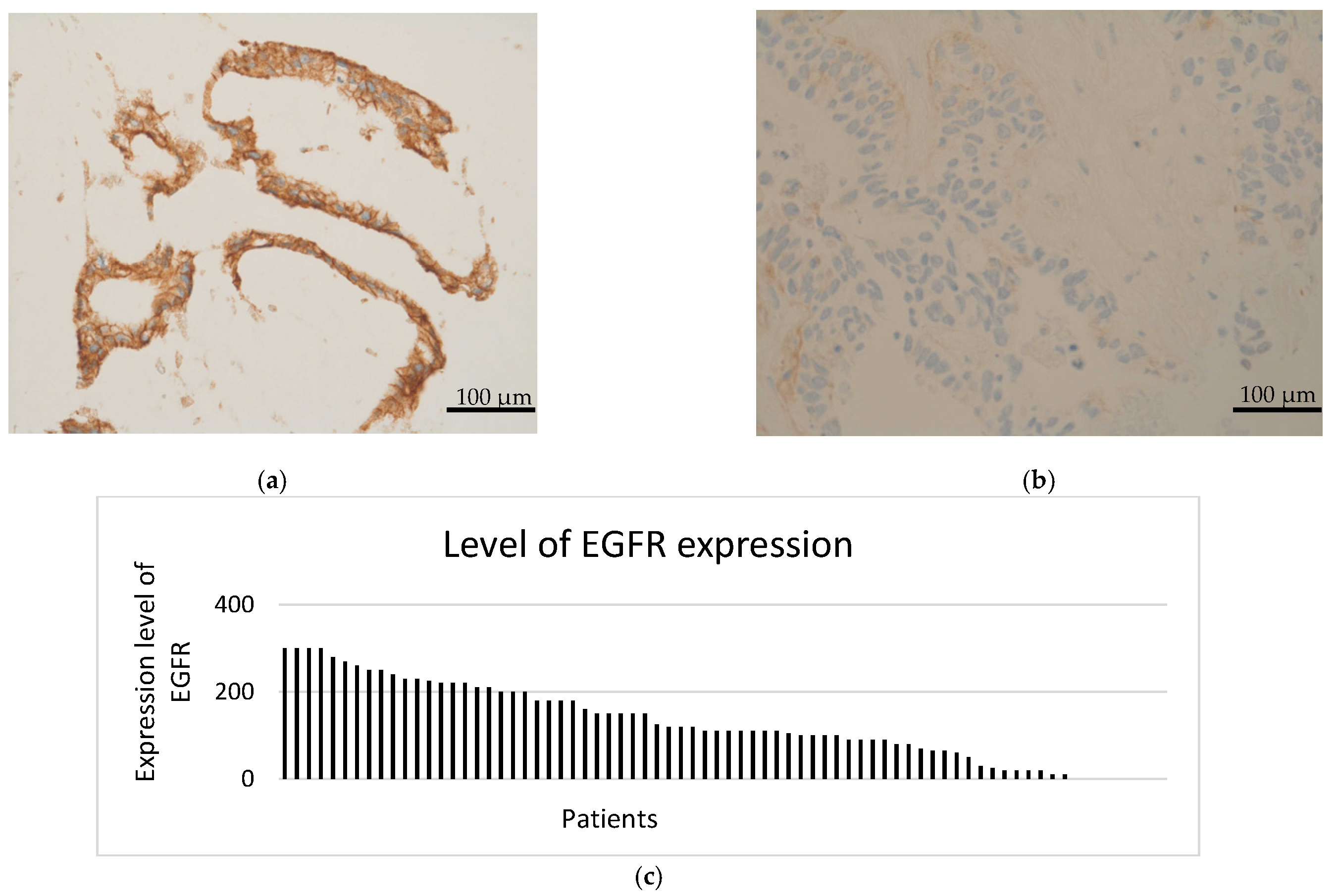 Cancers 14 01936 g002