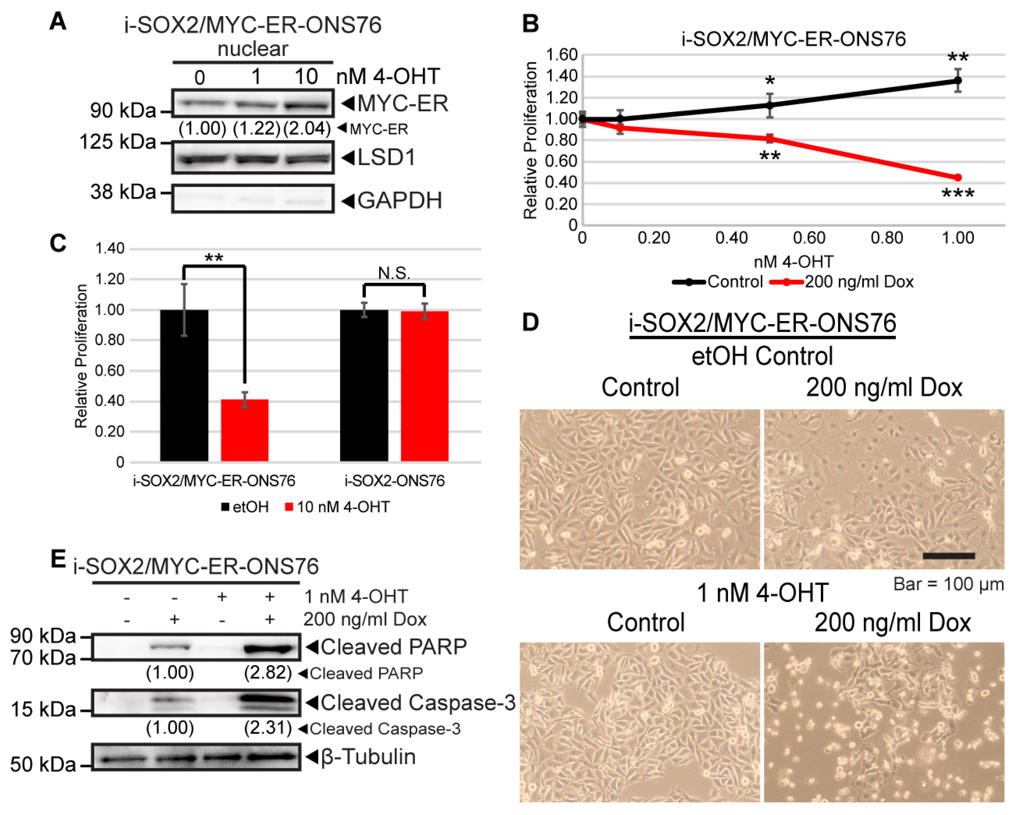 Cancers 14 01946 g007