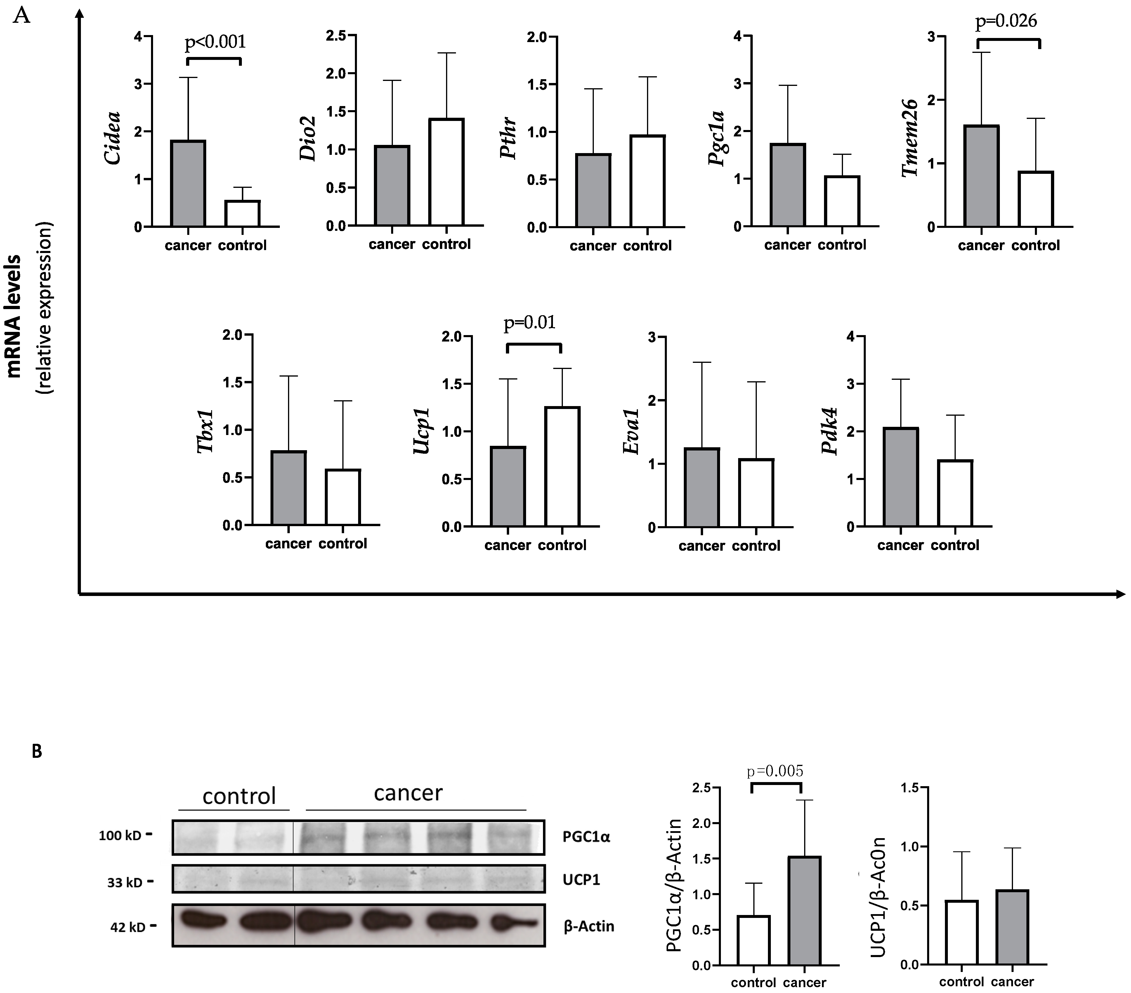 Cancers 14 01948 g001