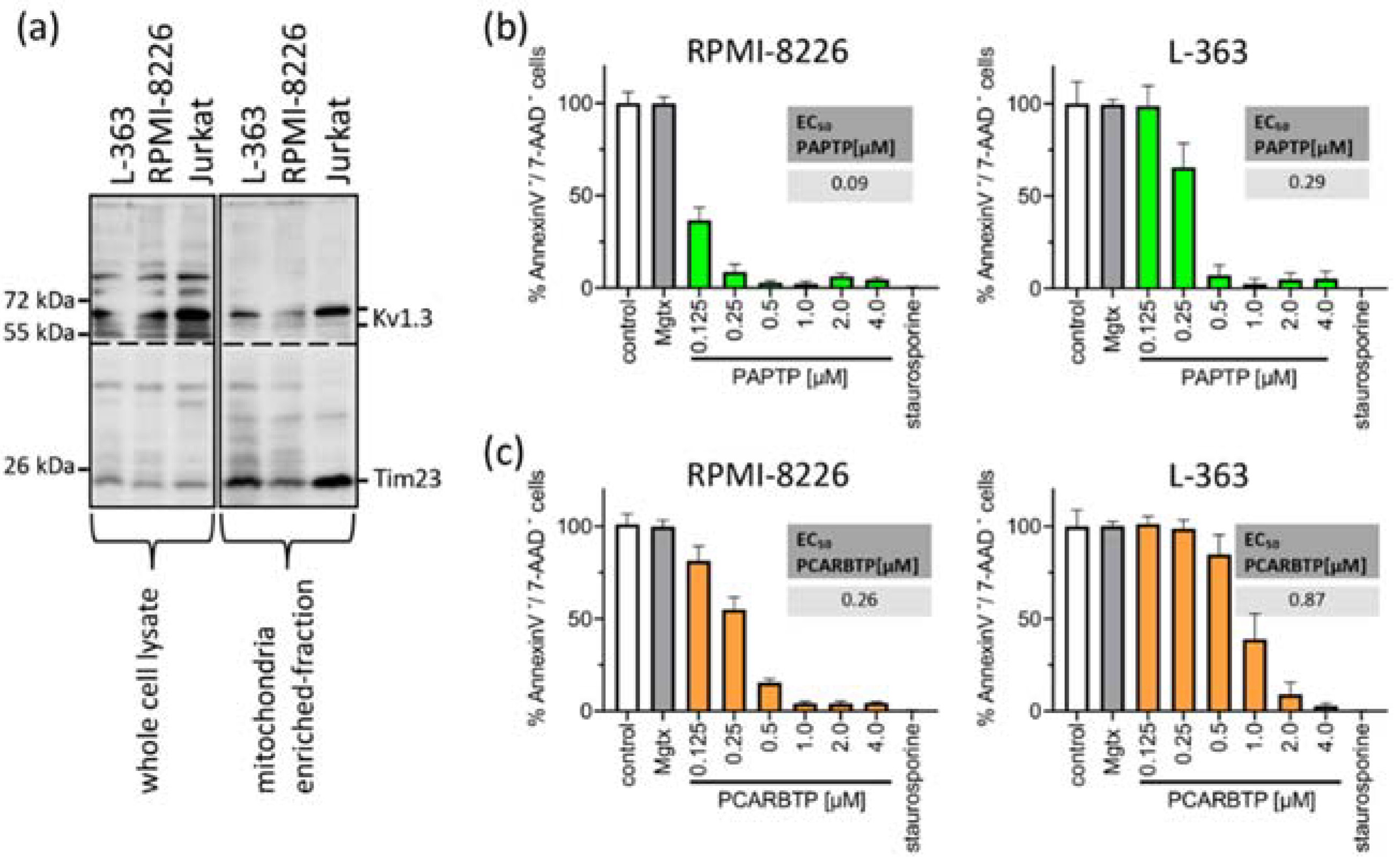 Cancers 14 01955 g001
