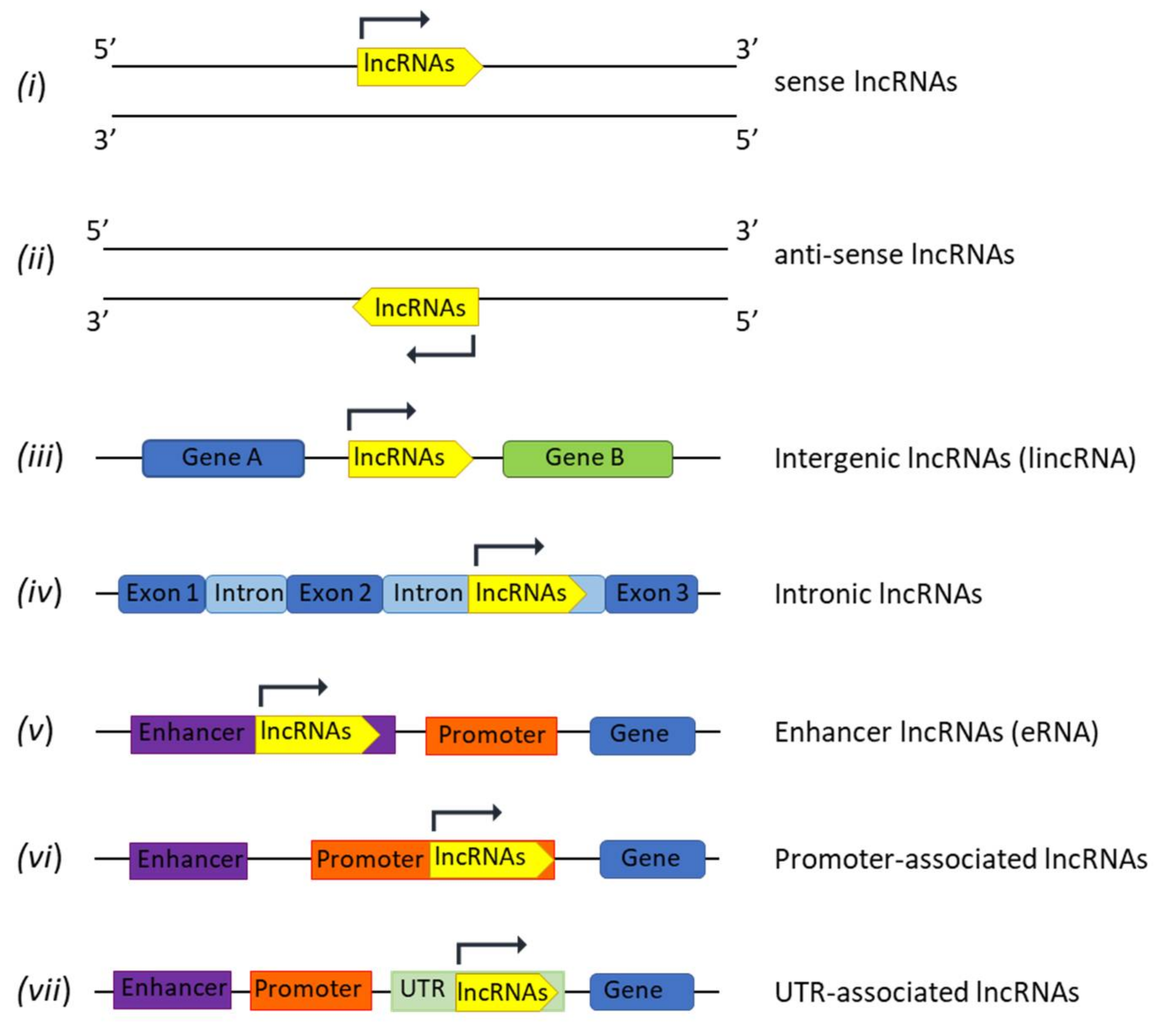 Cancers 14 01963 g001 Cancers 14 01963 g001