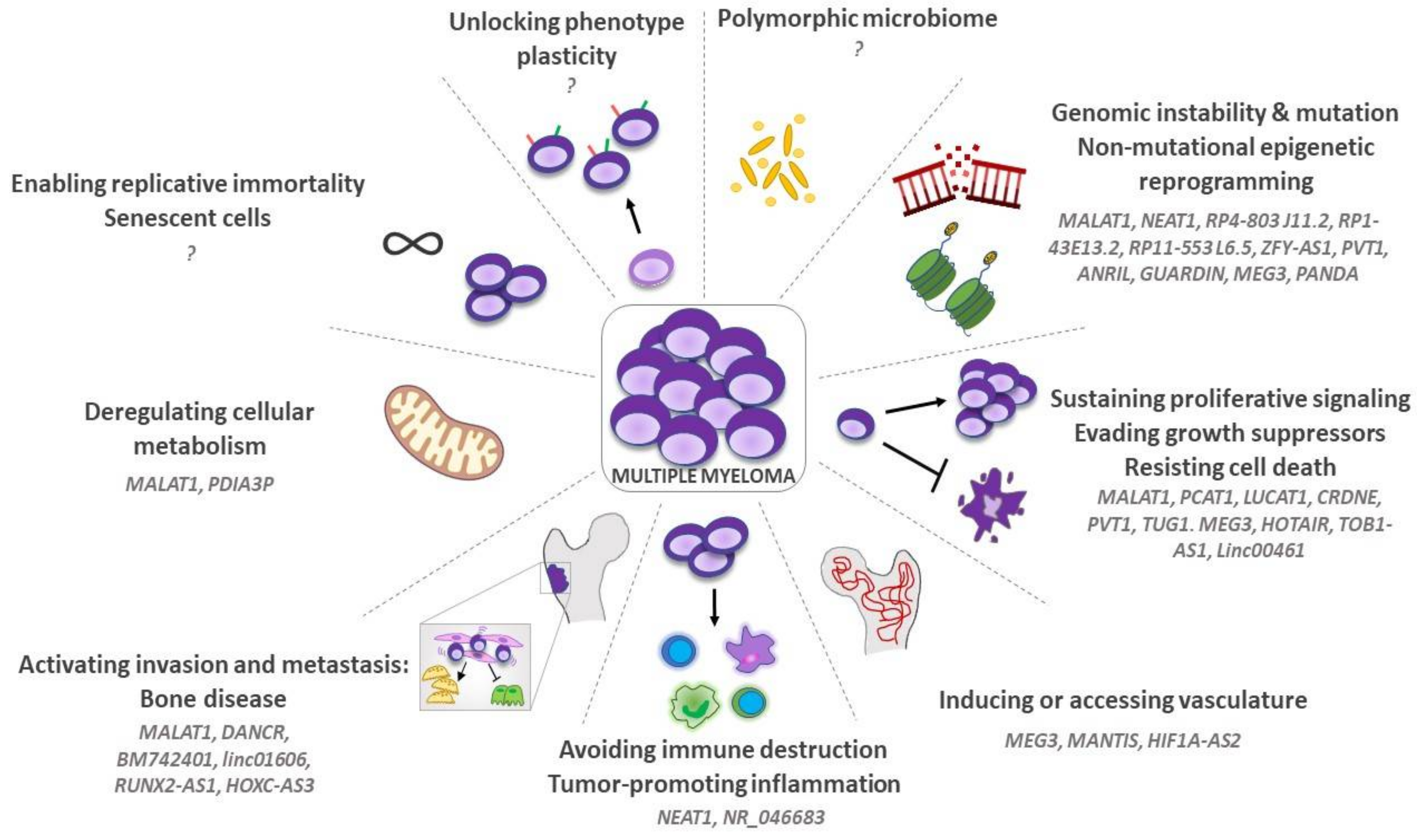 Cancers 14 01963 g002 Cancers 14 01963 g002