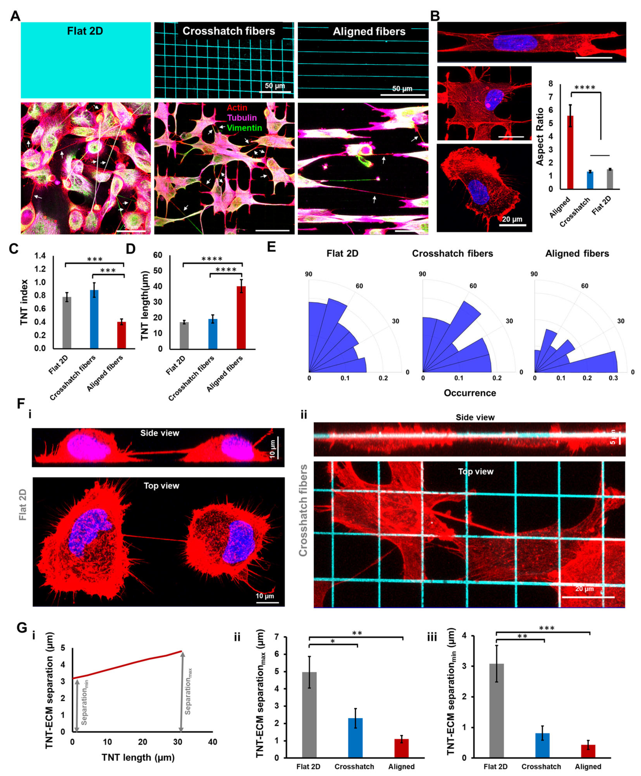 Cancers 14 01989 g001