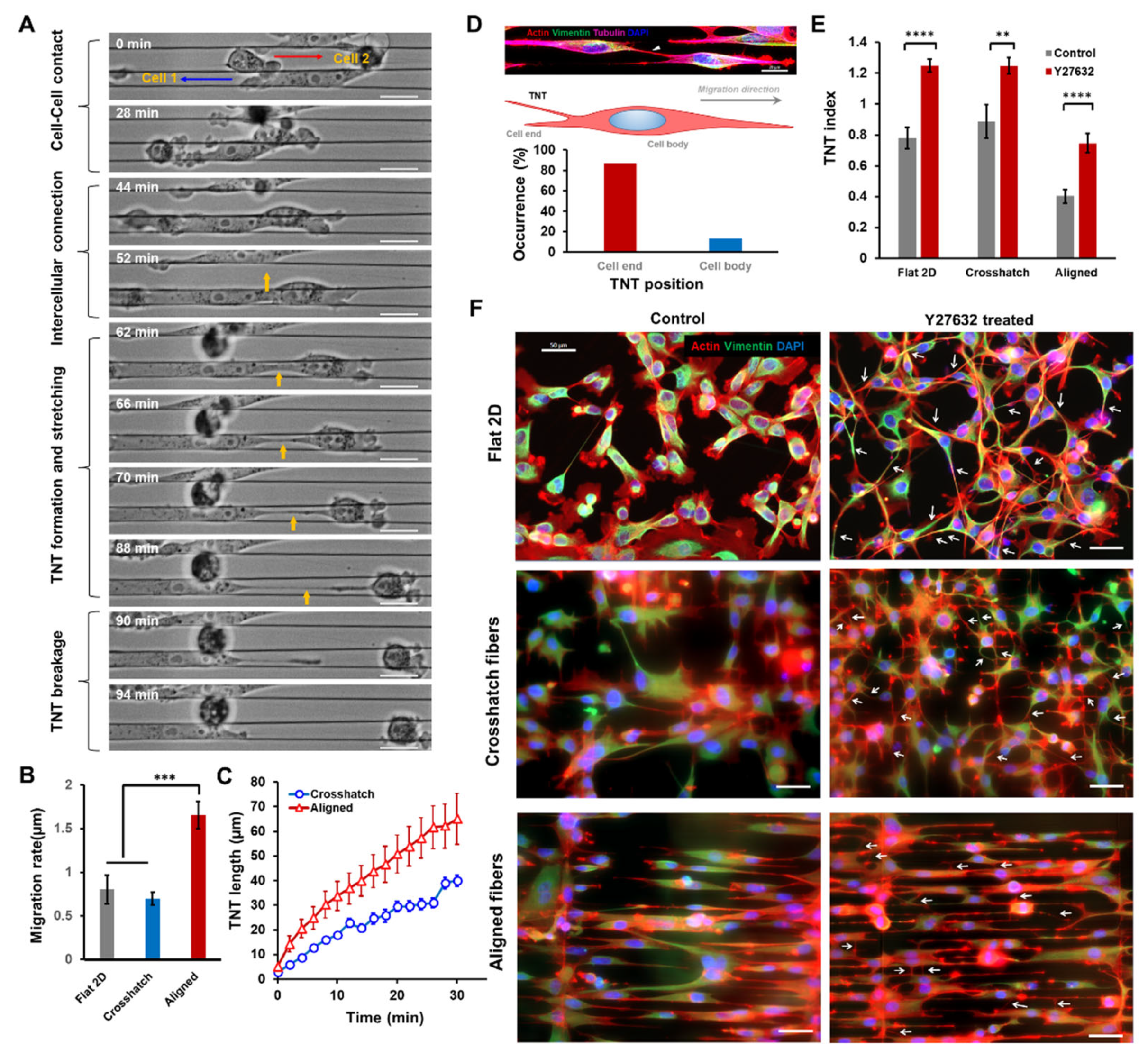 Cancers 14 01989 g002
