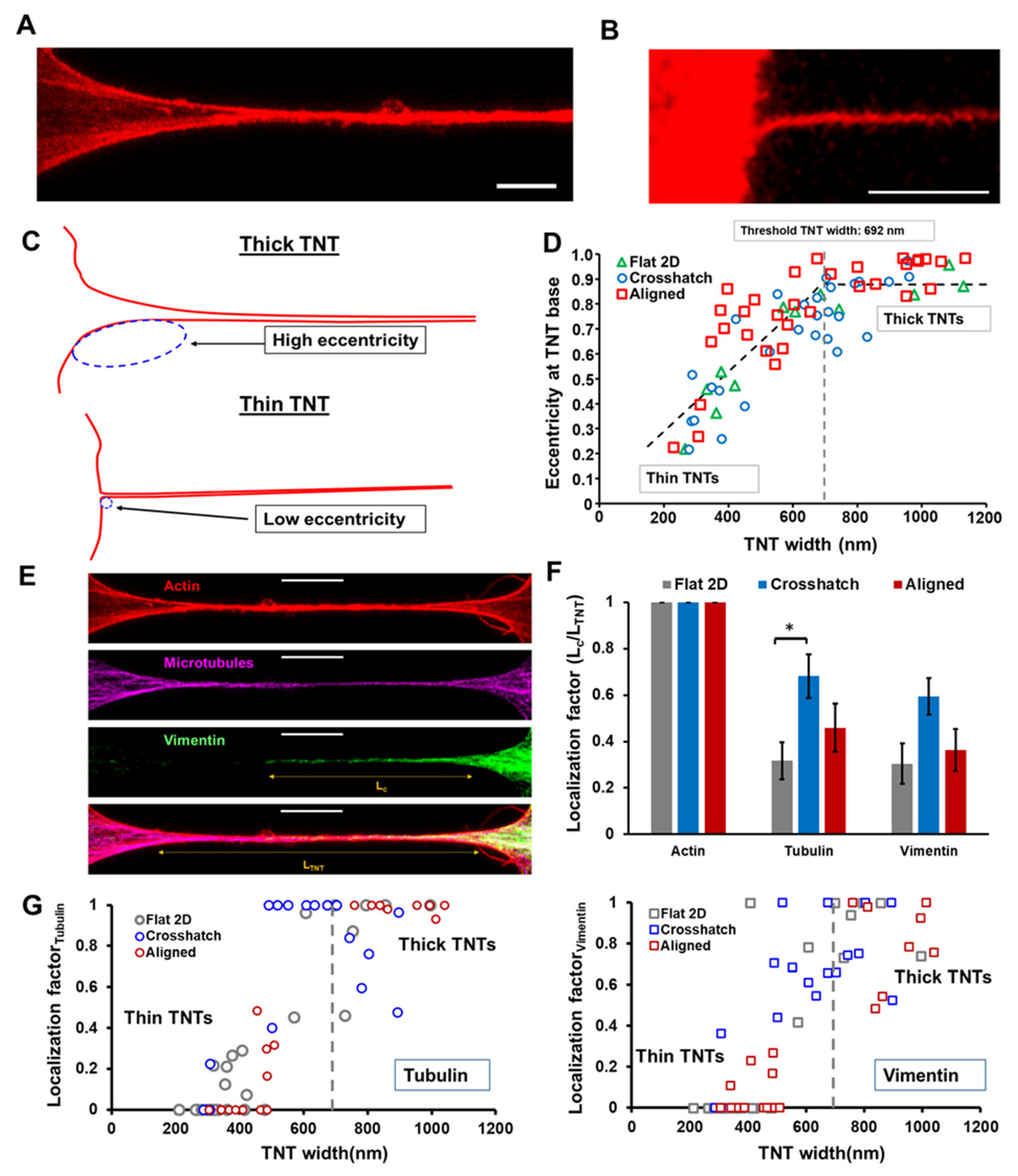 Cancers 14 01989 g003