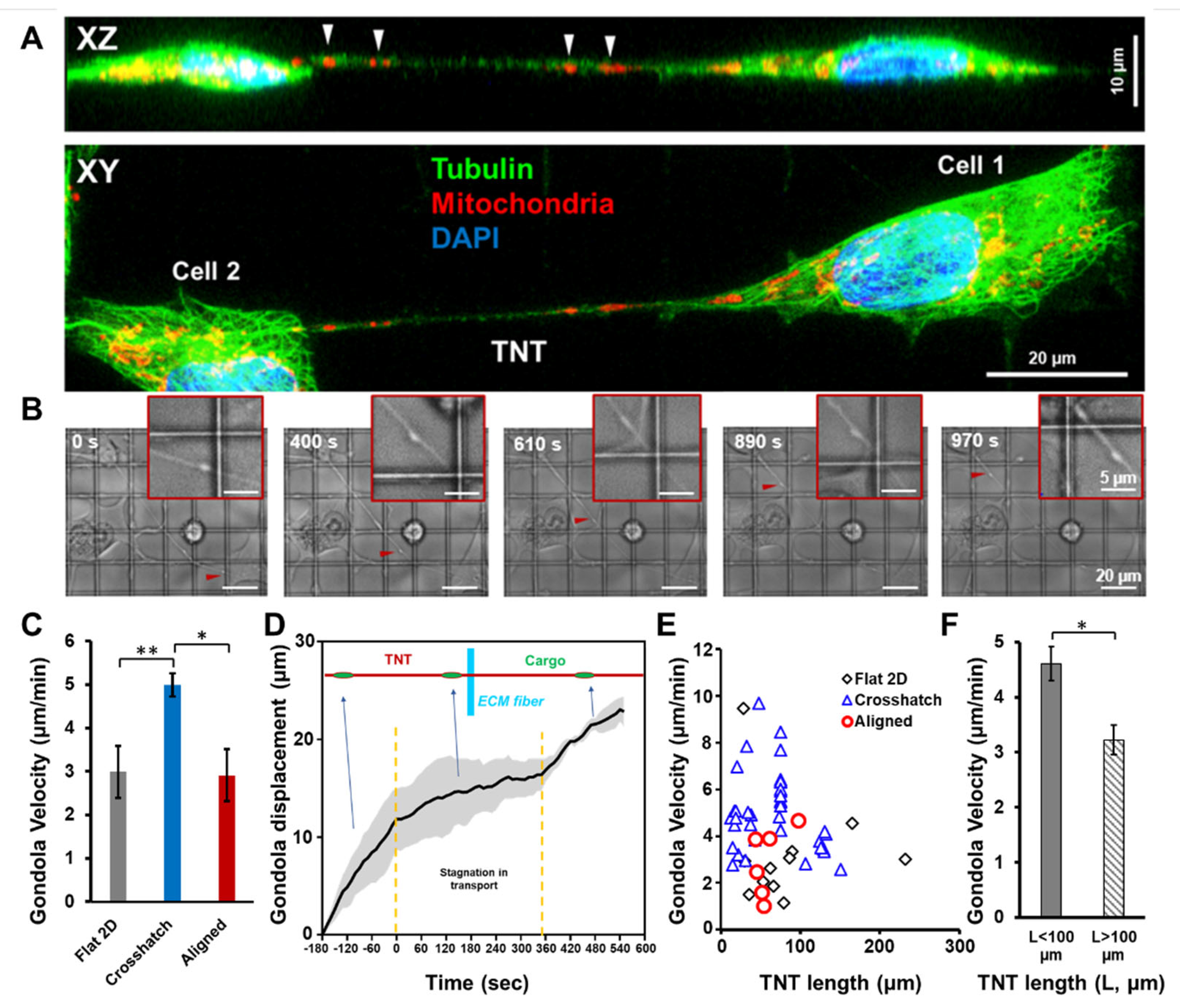Cancers 14 01989 g004