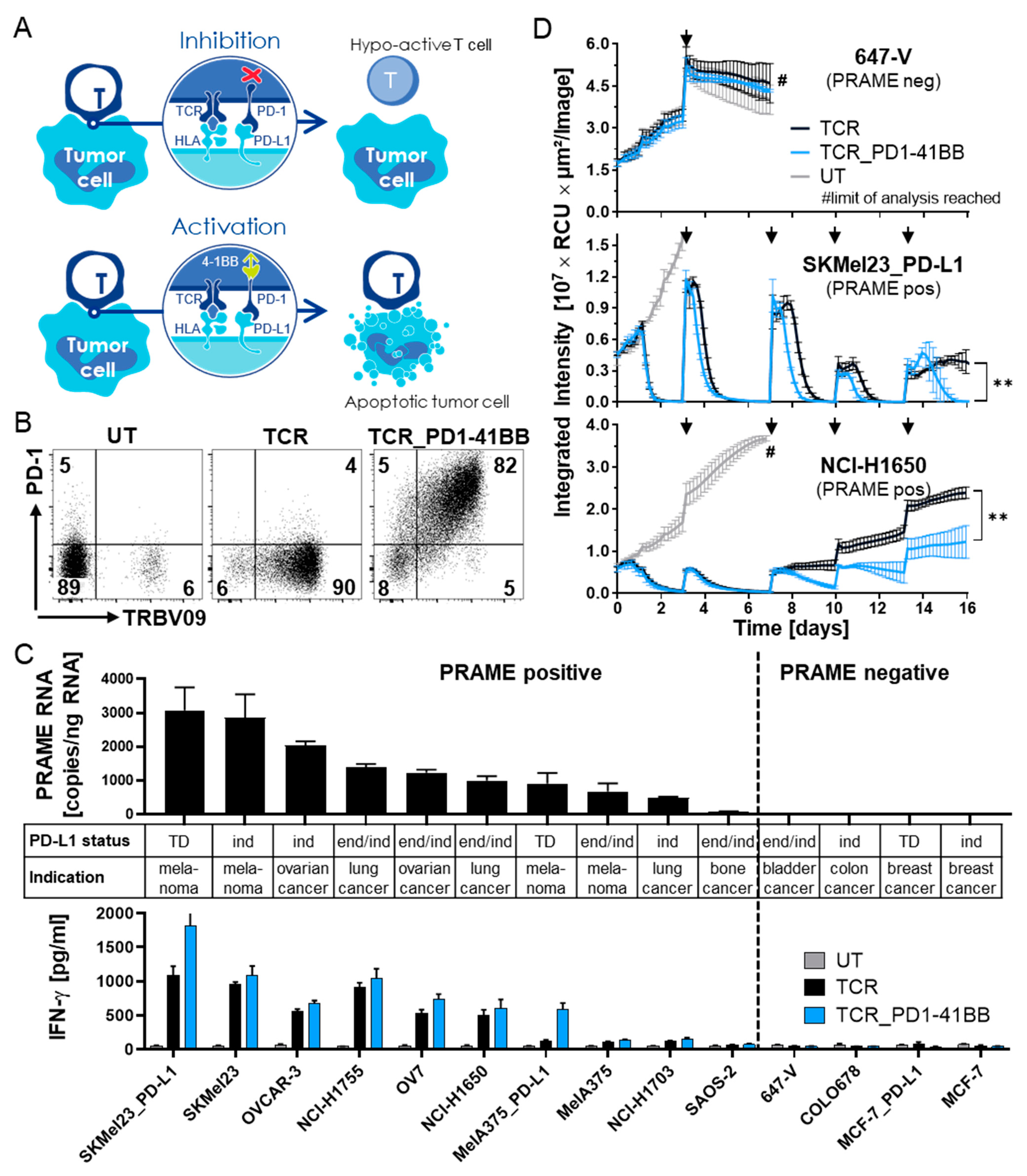 Cancers 14 01998 g002