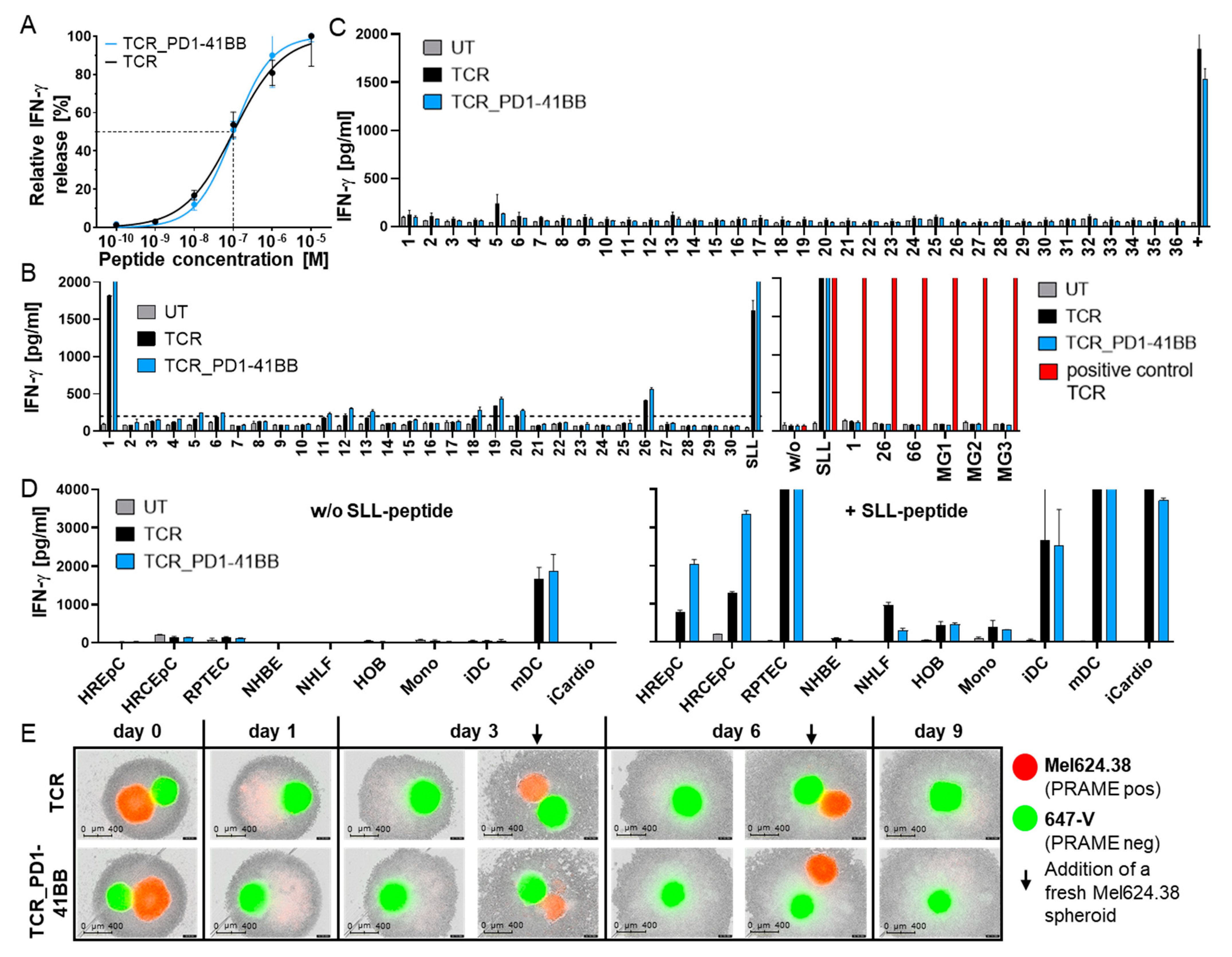 Cancers 14 01998 g003