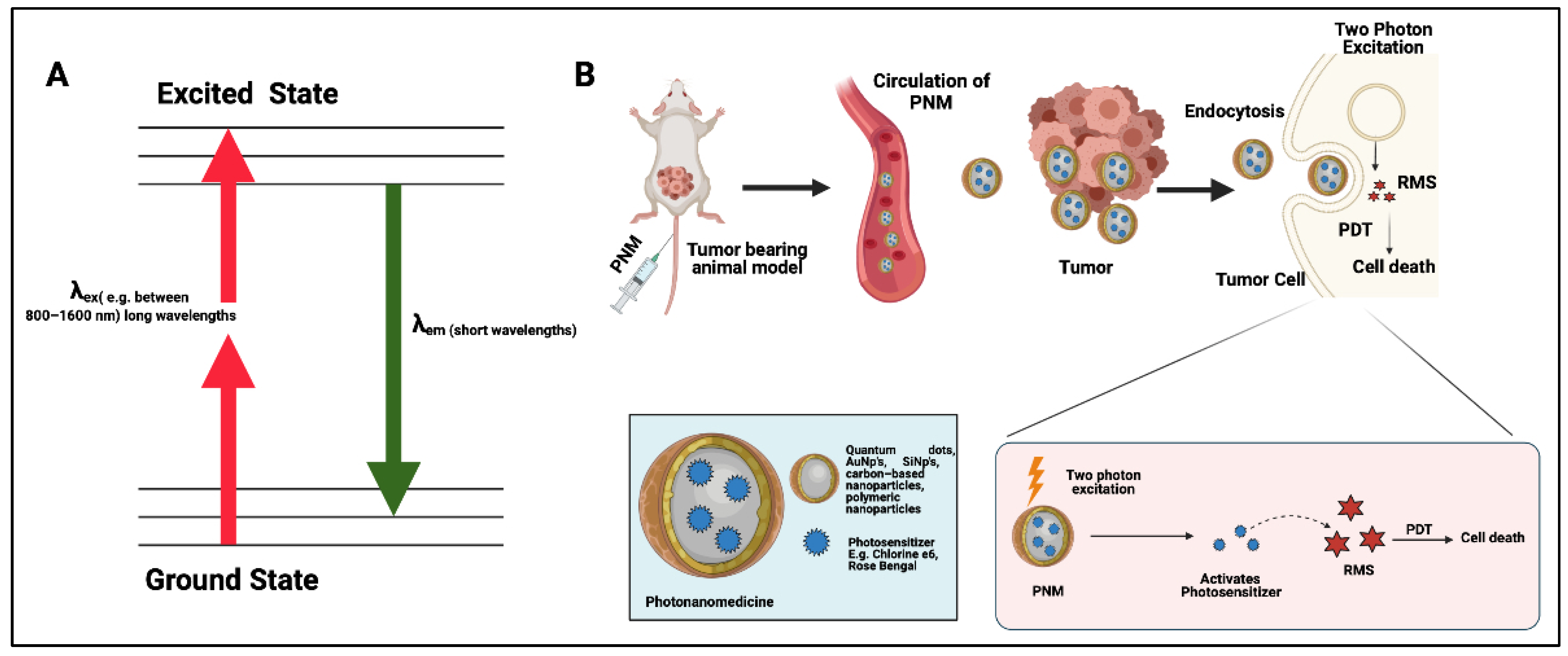 Cancers 14 02004 g002