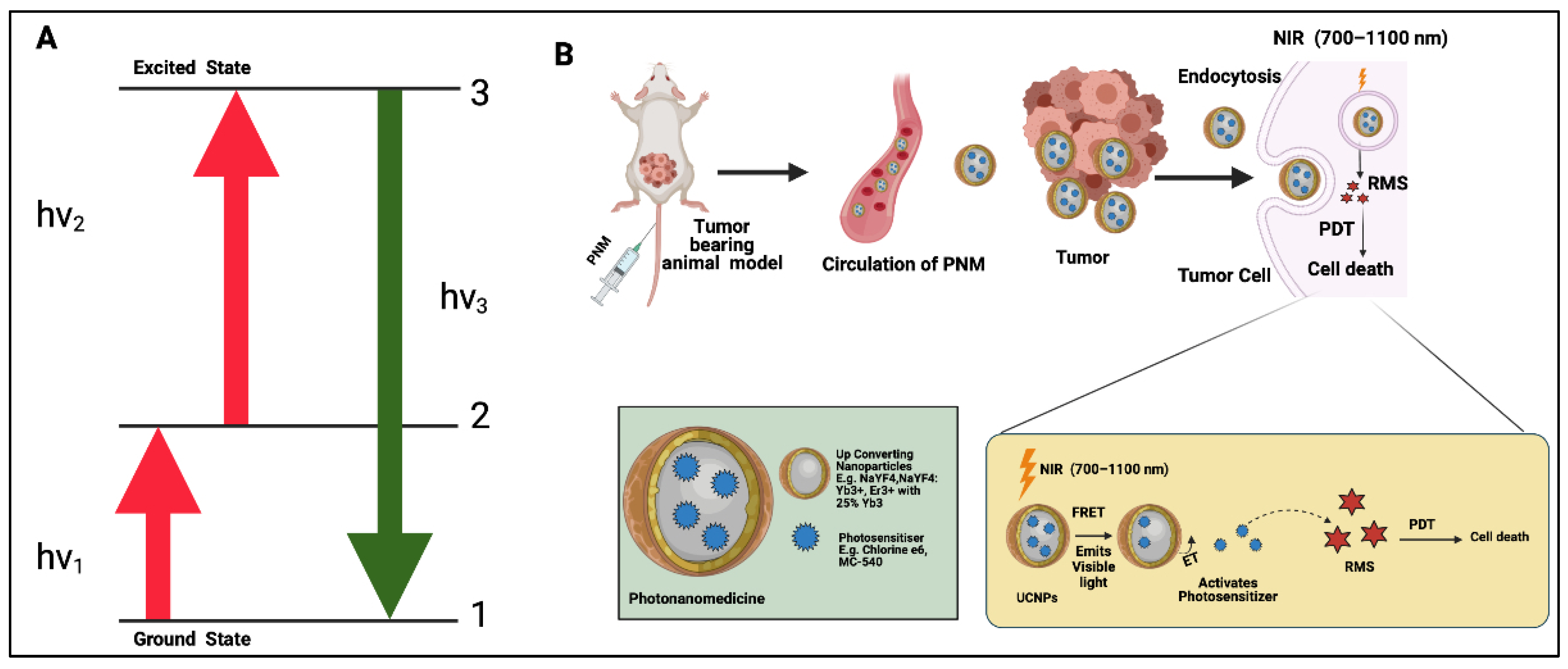Cancers 14 02004 g003