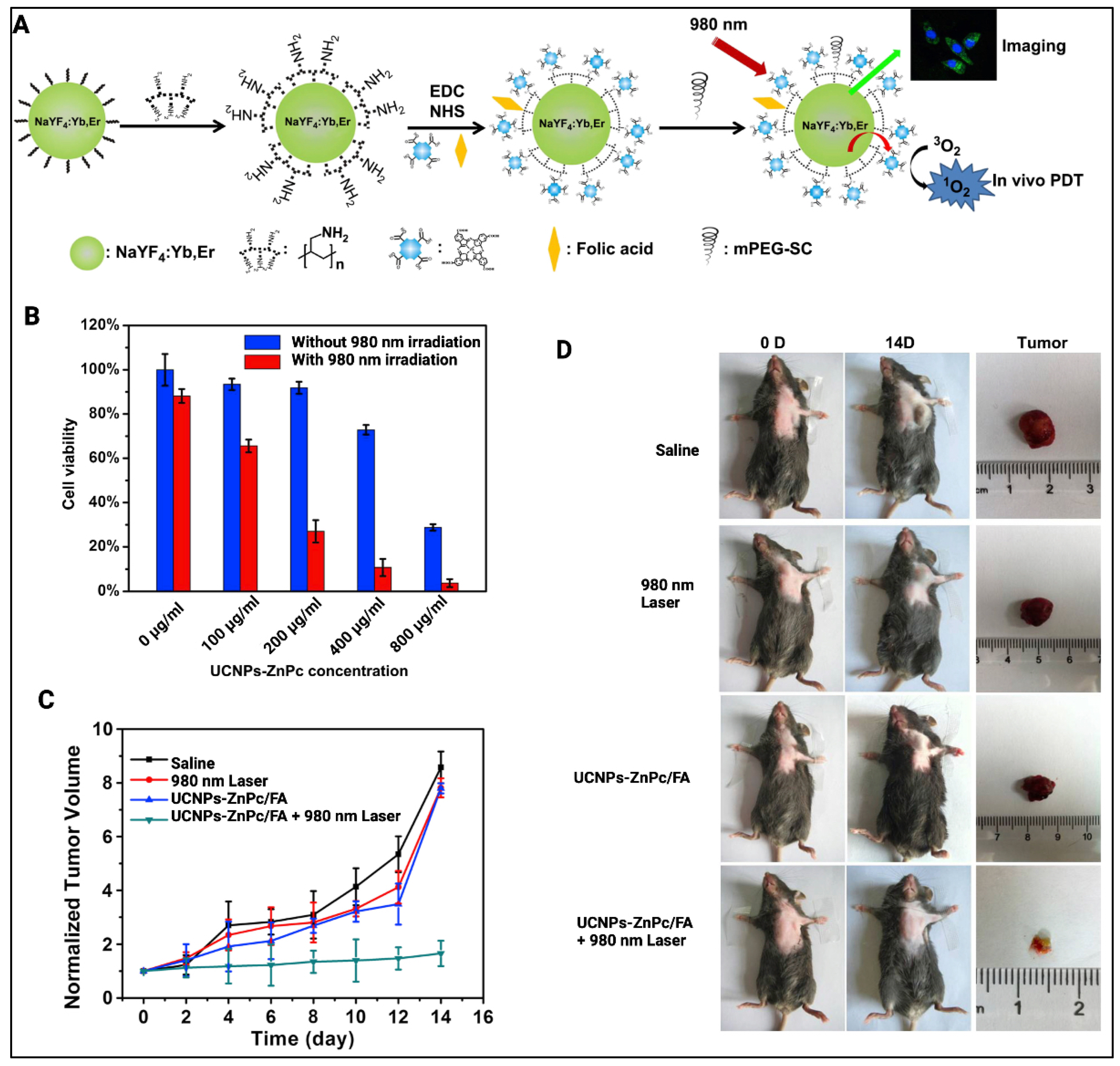 Cancers 14 02004 g004