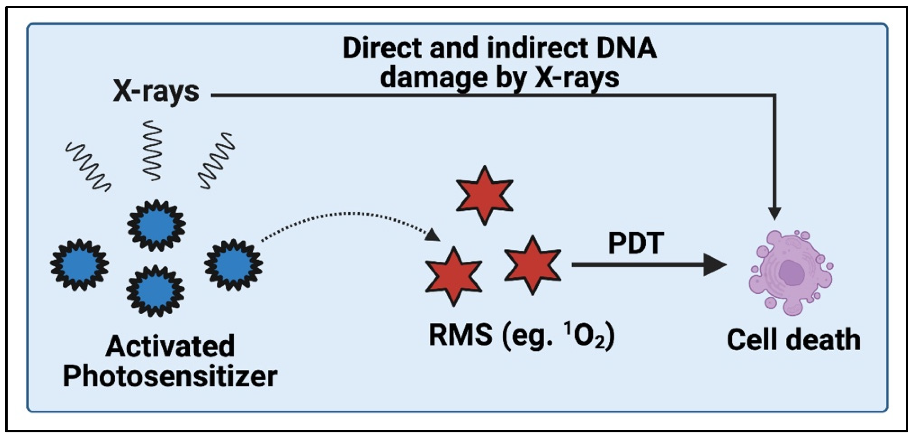 Cancers 14 02004 g005